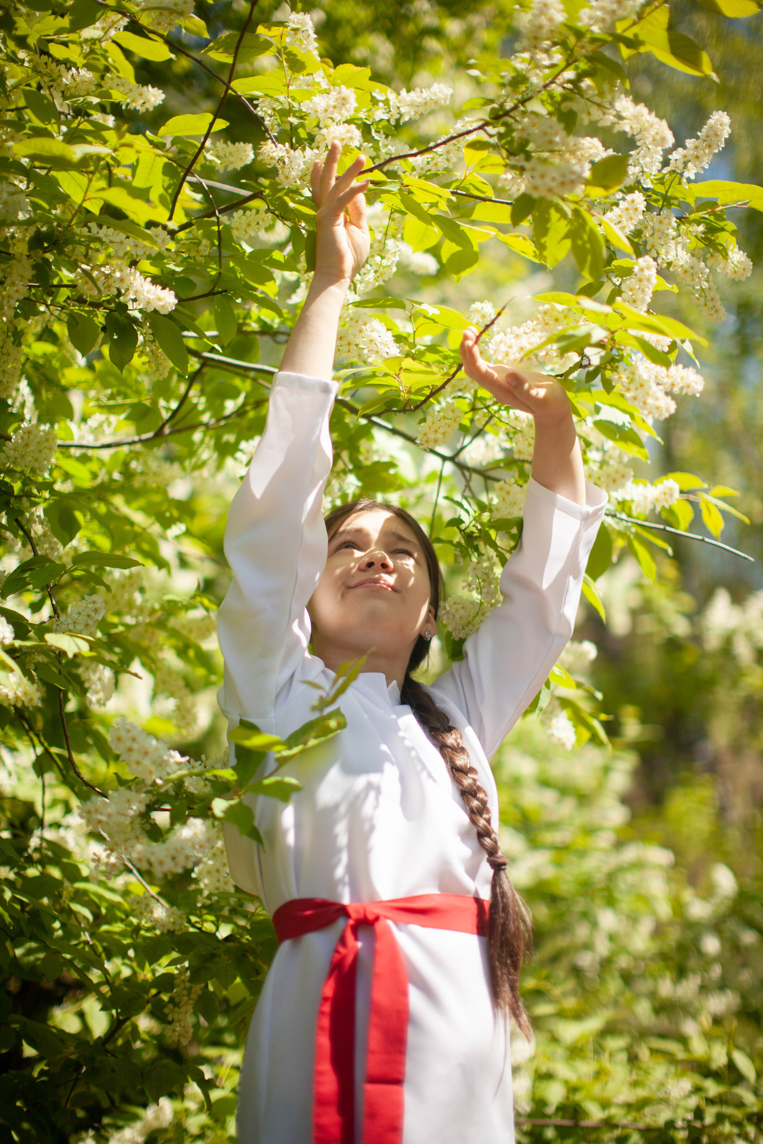 Летний день. Art my Pho