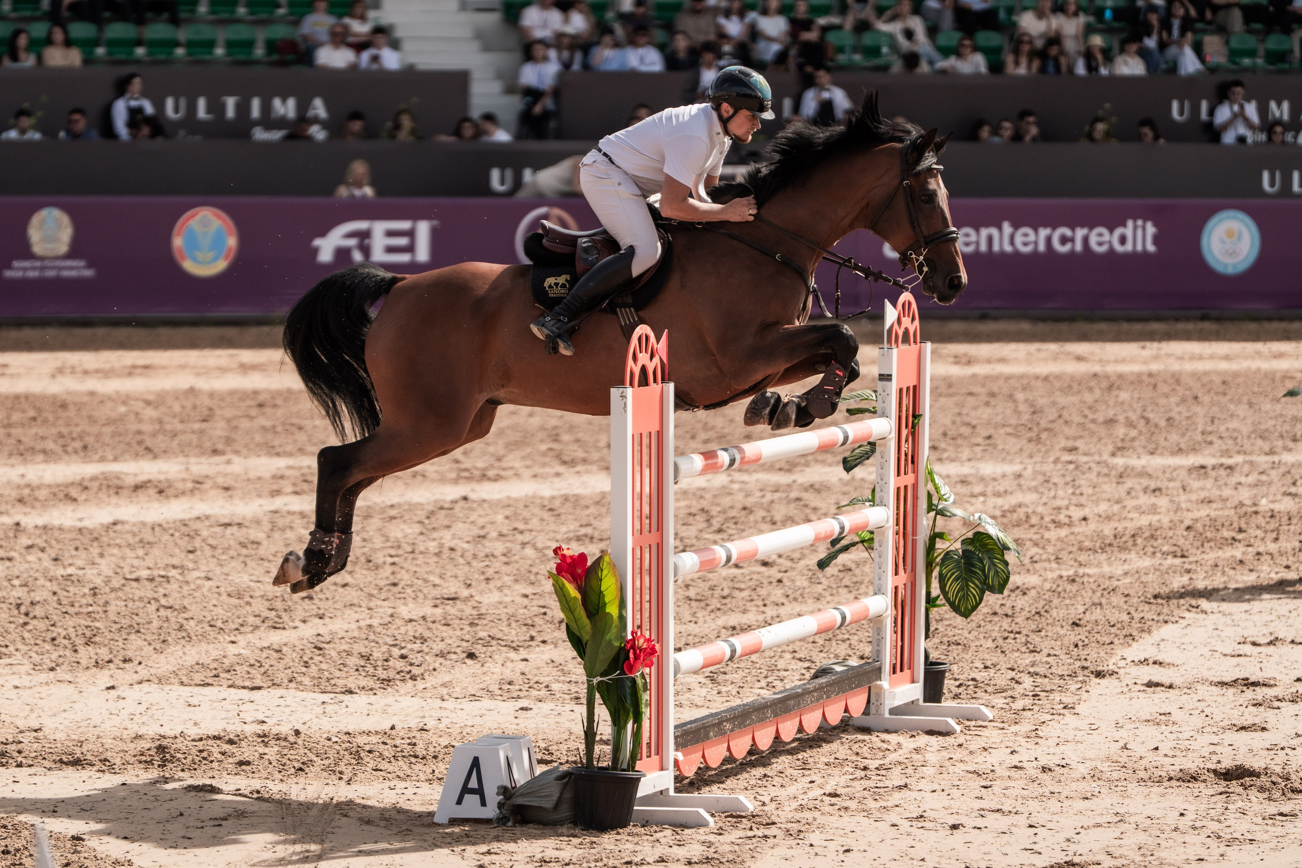 2026 FEI World Cup Astana. Janie valde |photographer & visual artist
