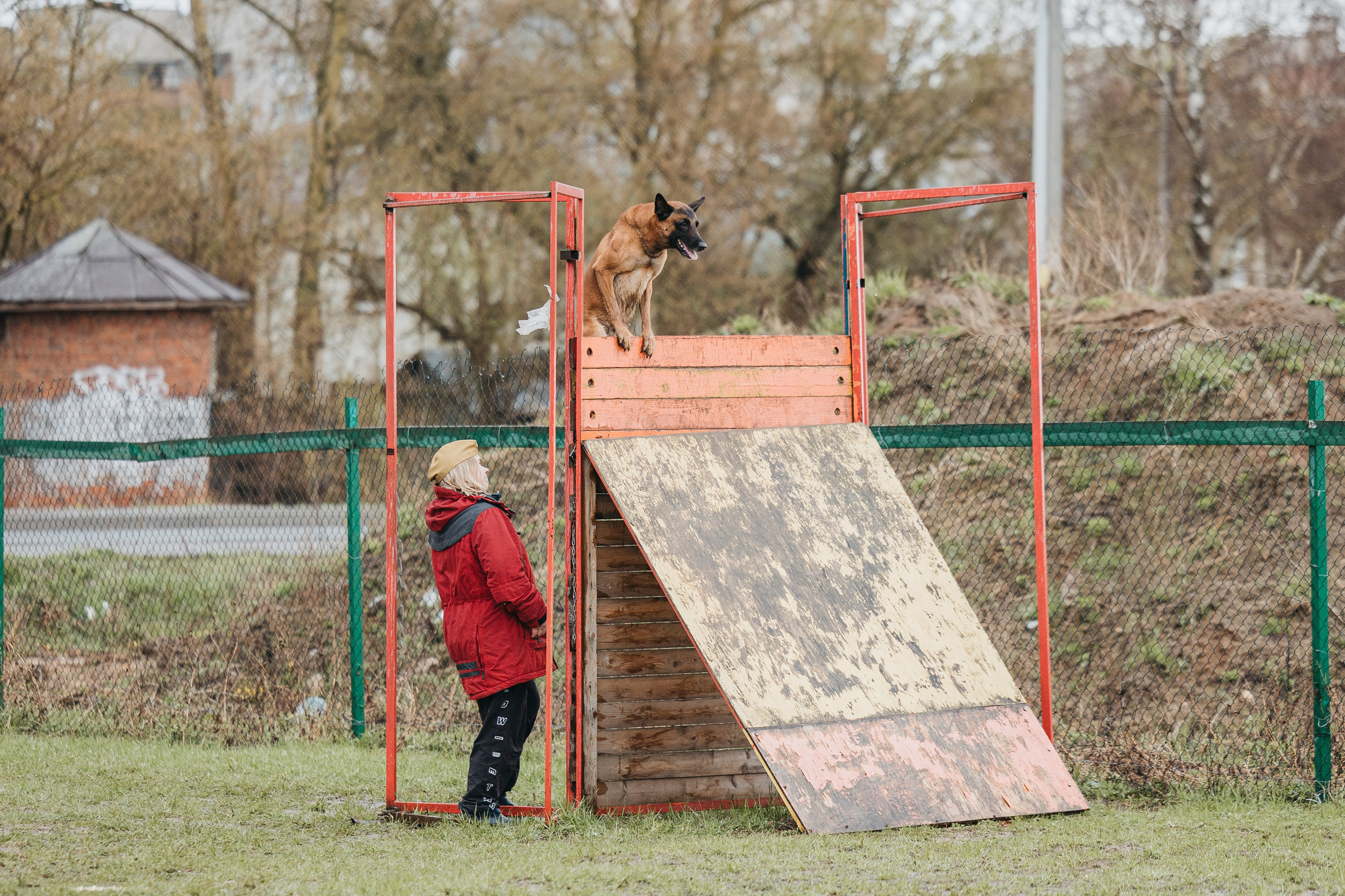 09.05.25 Вологда соревнования. Фотограф-анималист Анна Маринич