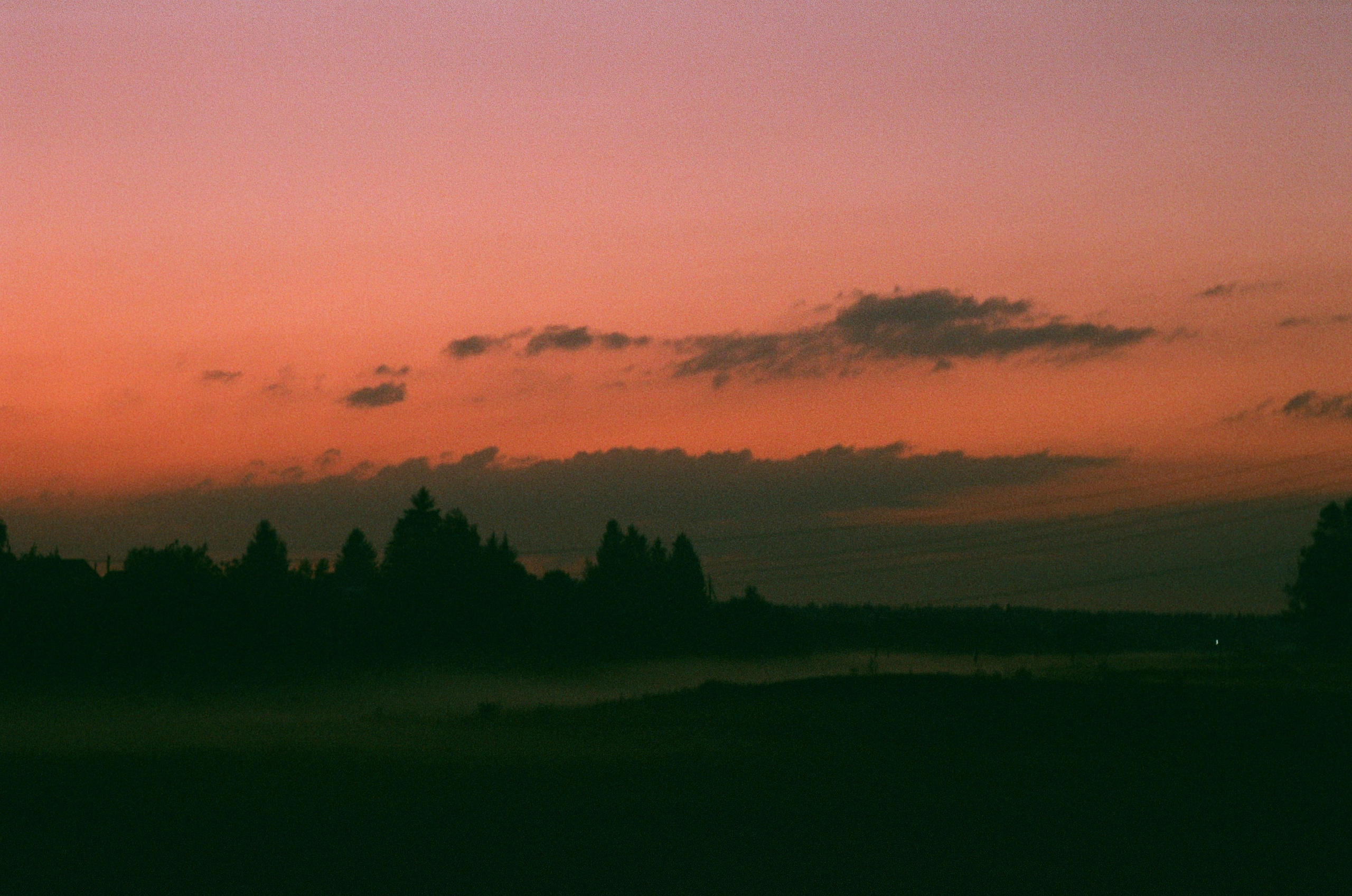 Варвара Цымбал