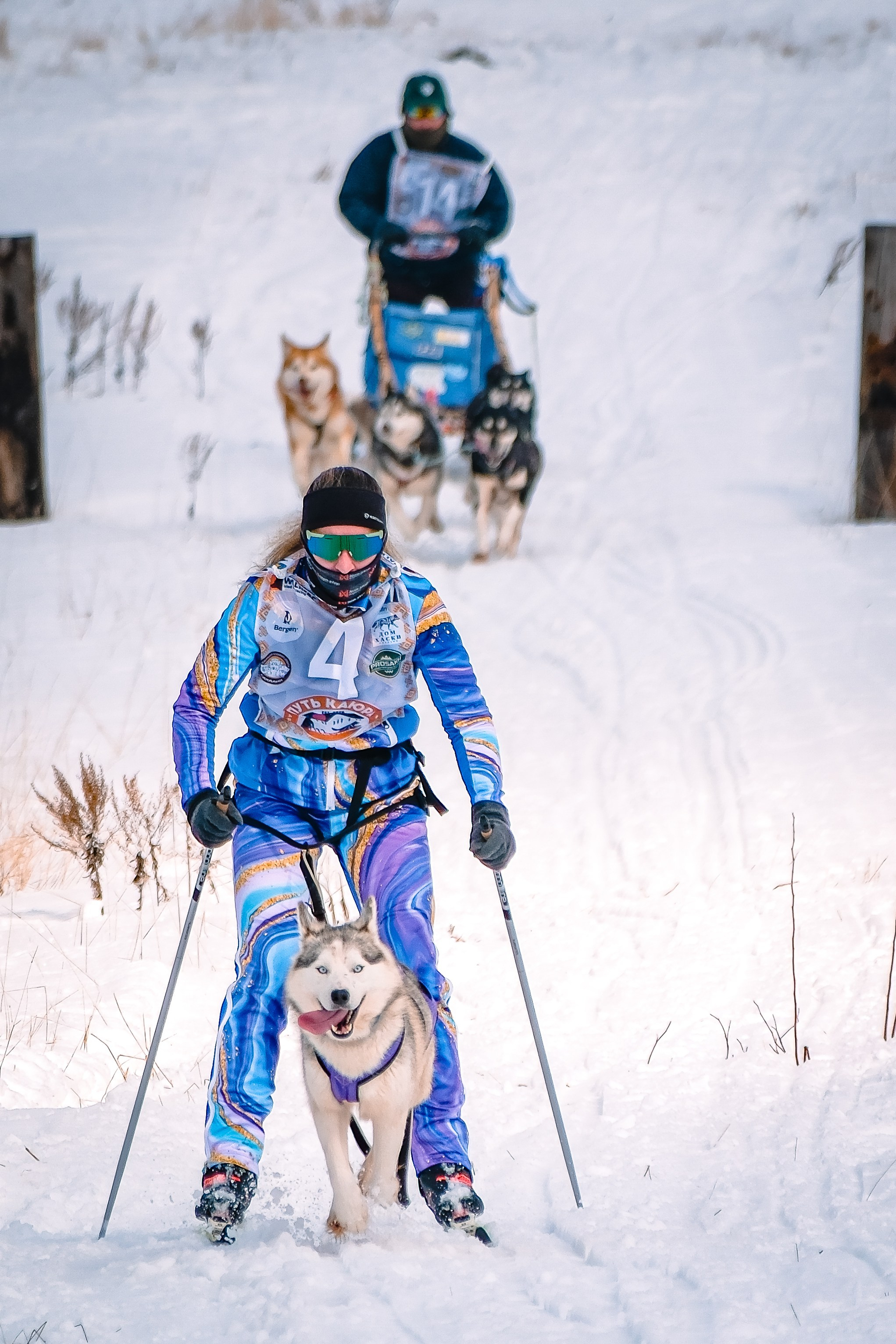 Фестиваль ездового спорта. Фотограф. г. Южно-Сахалинск. Олег Толстов