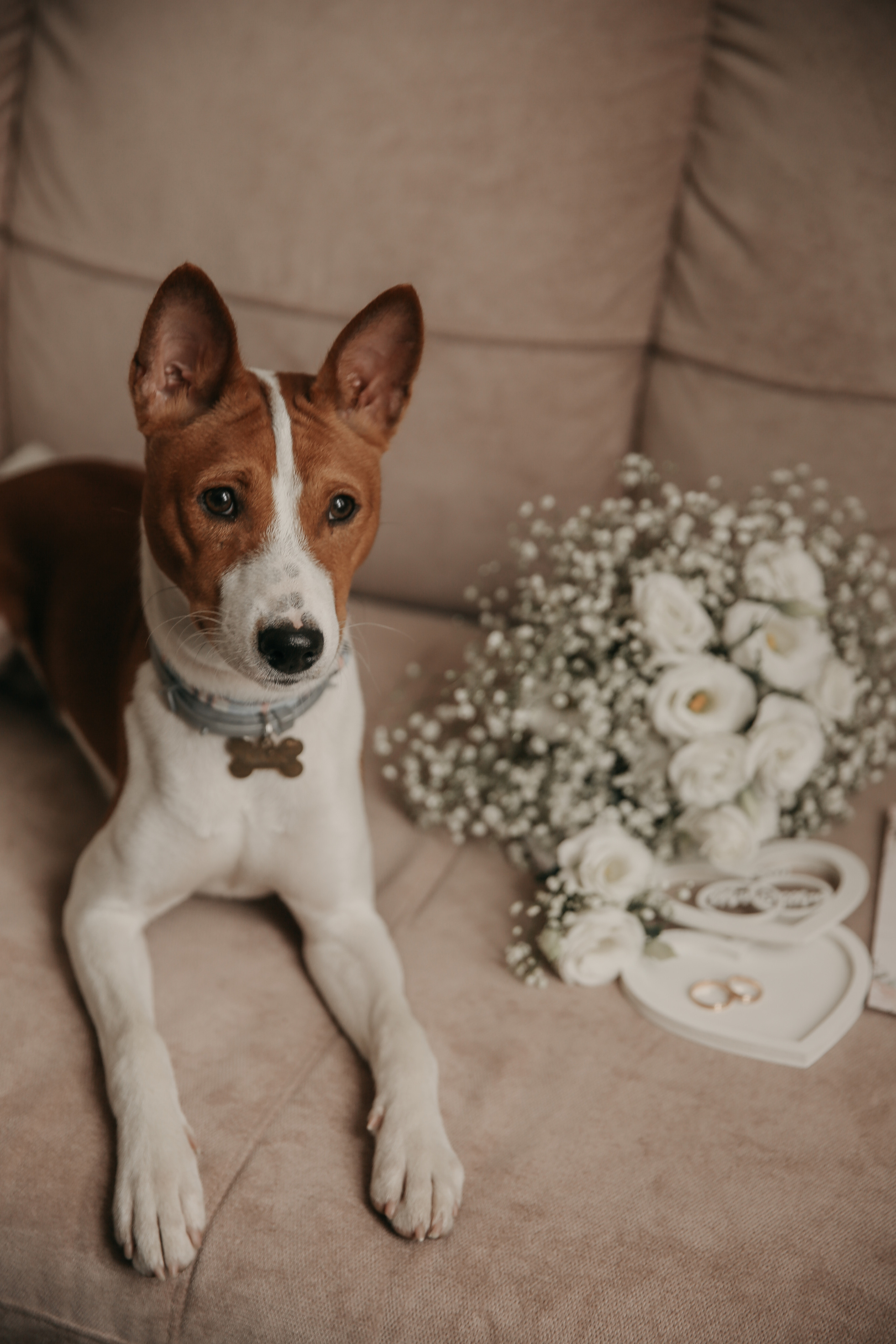 Маша и Дима. Свадебный и семейный фотограф в Ростове-на-Дону Марианна Хахладжева