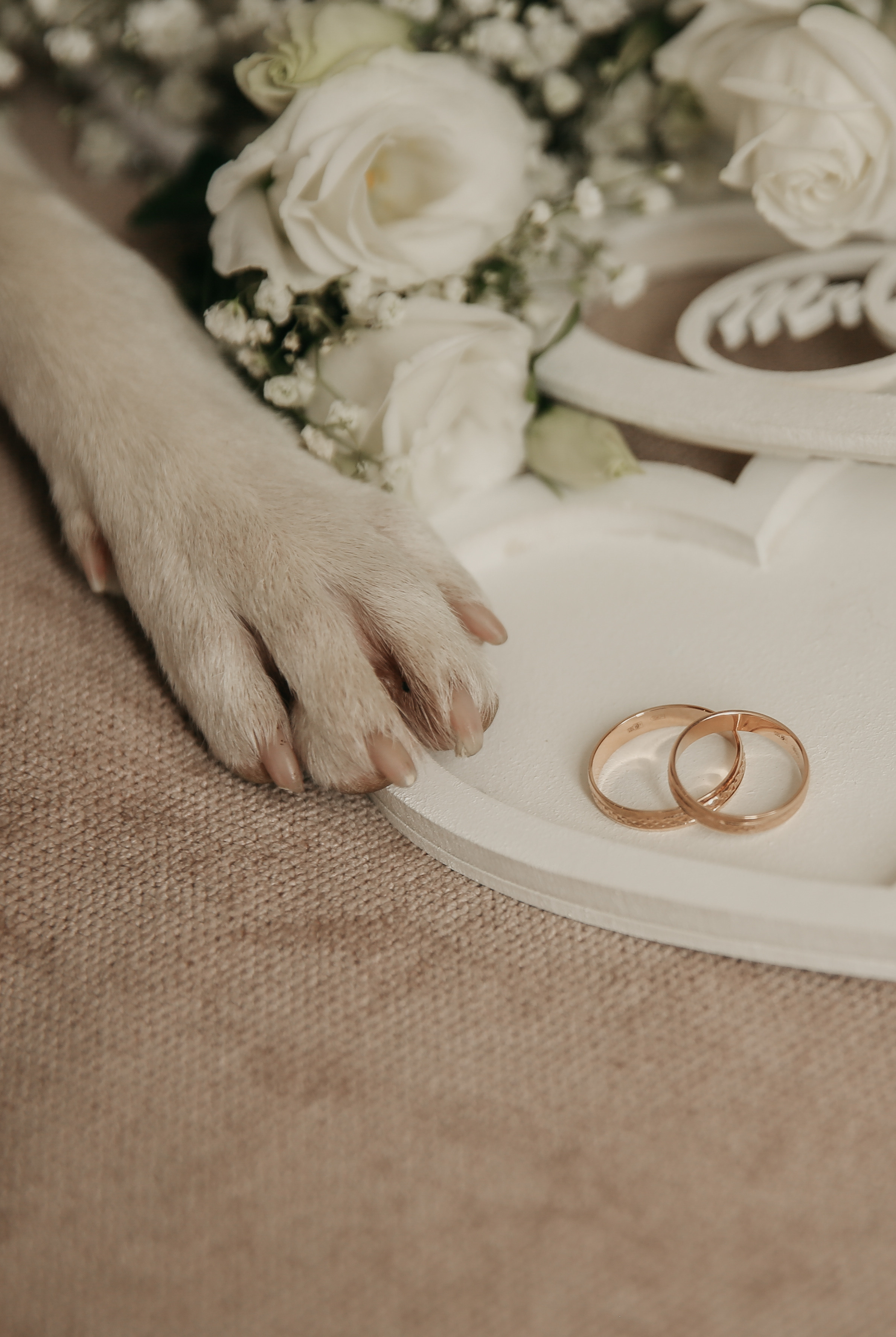 Маша и Дима. Свадебный и семейный фотограф в Ростове-на-Дону Марианна Хахладжева