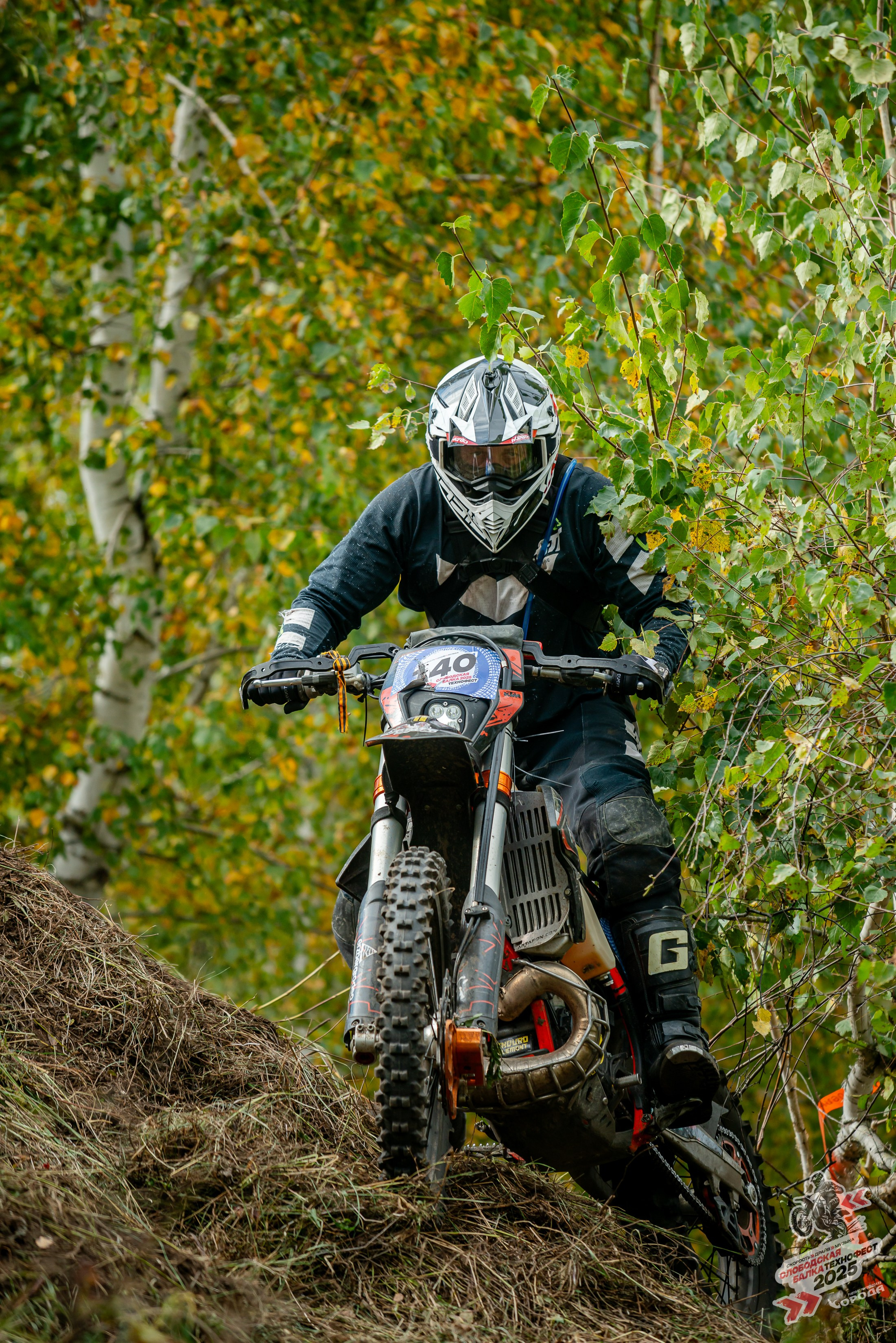 Слободская балка 2025. Фотограф | Макс Борода