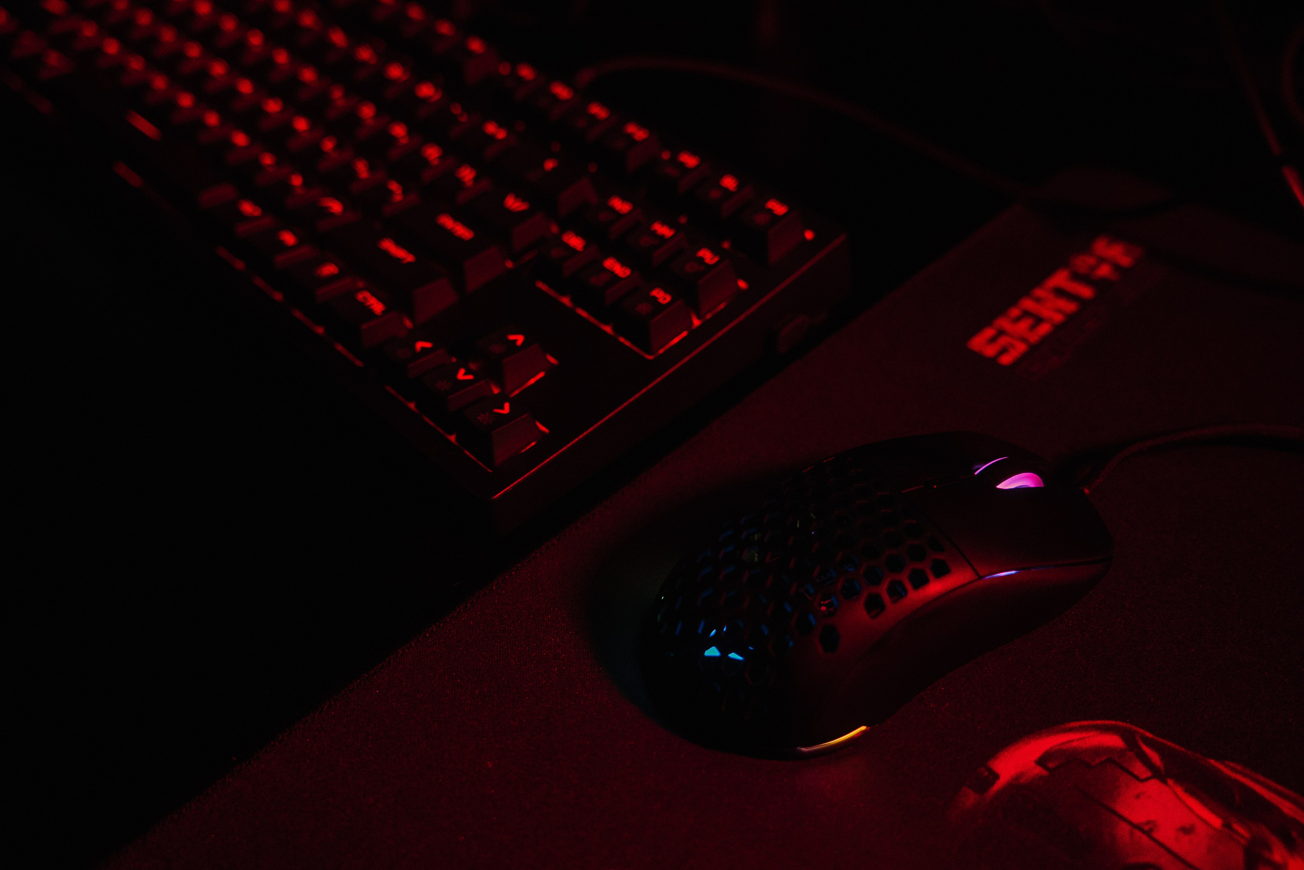 SEKTOR. Фотограф в Хабаровске Швендых Рудольф