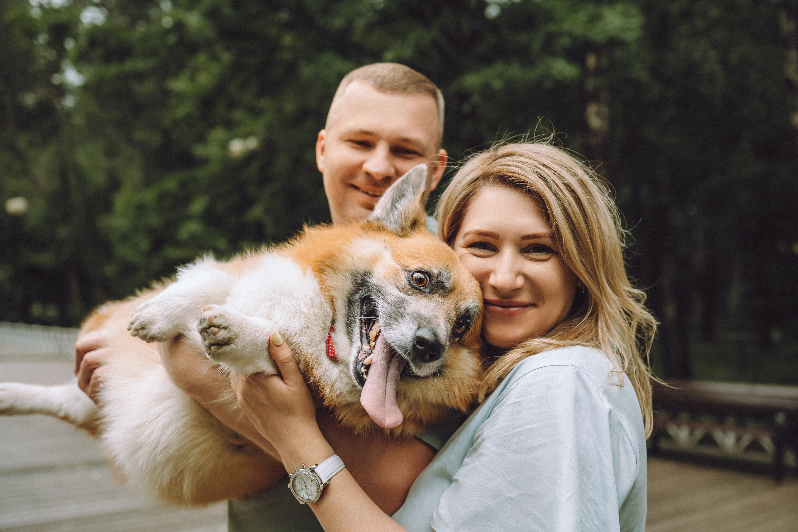 Ира, Леша и Харли