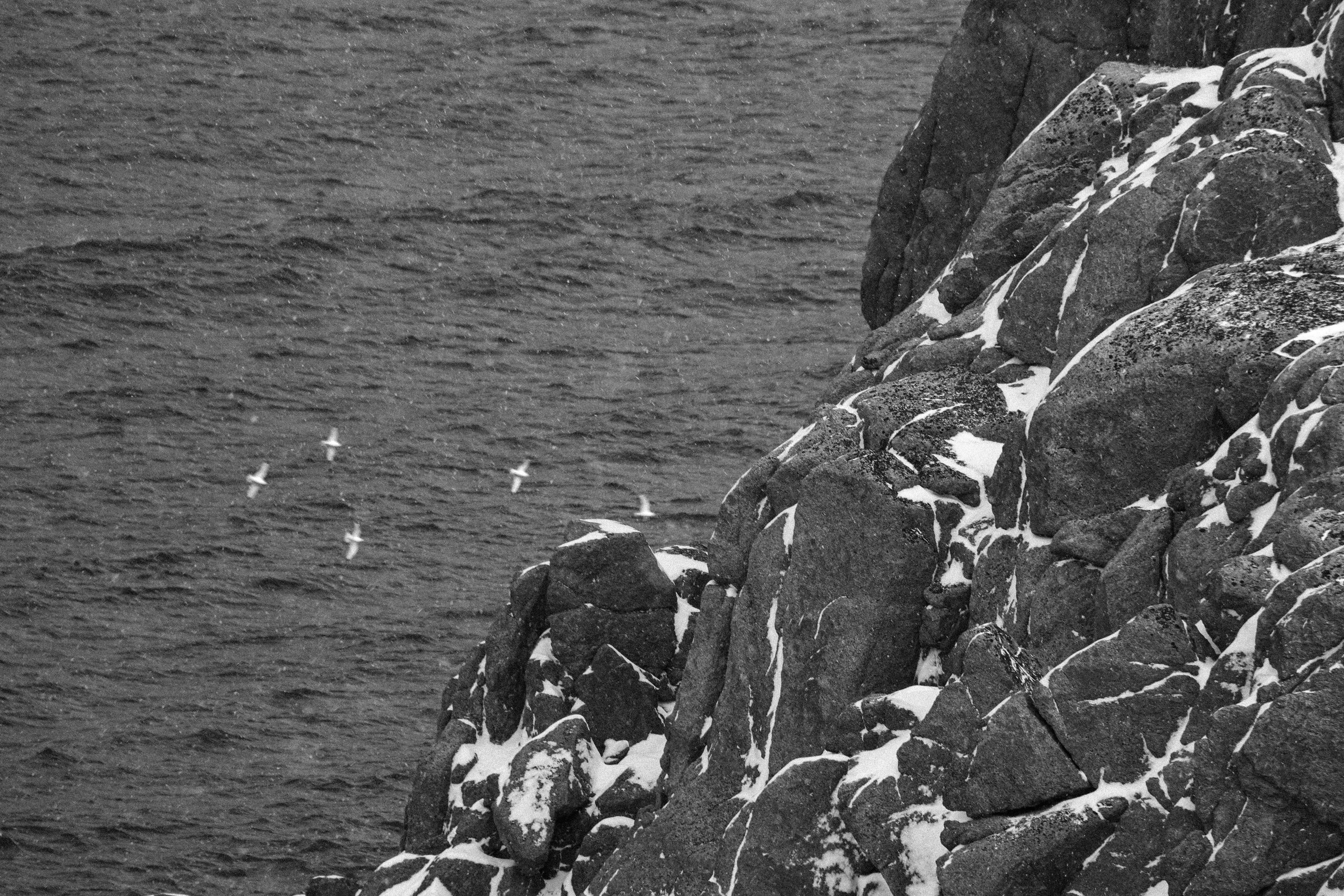 Фото с прогулок и с поездок на Кольский полуостров