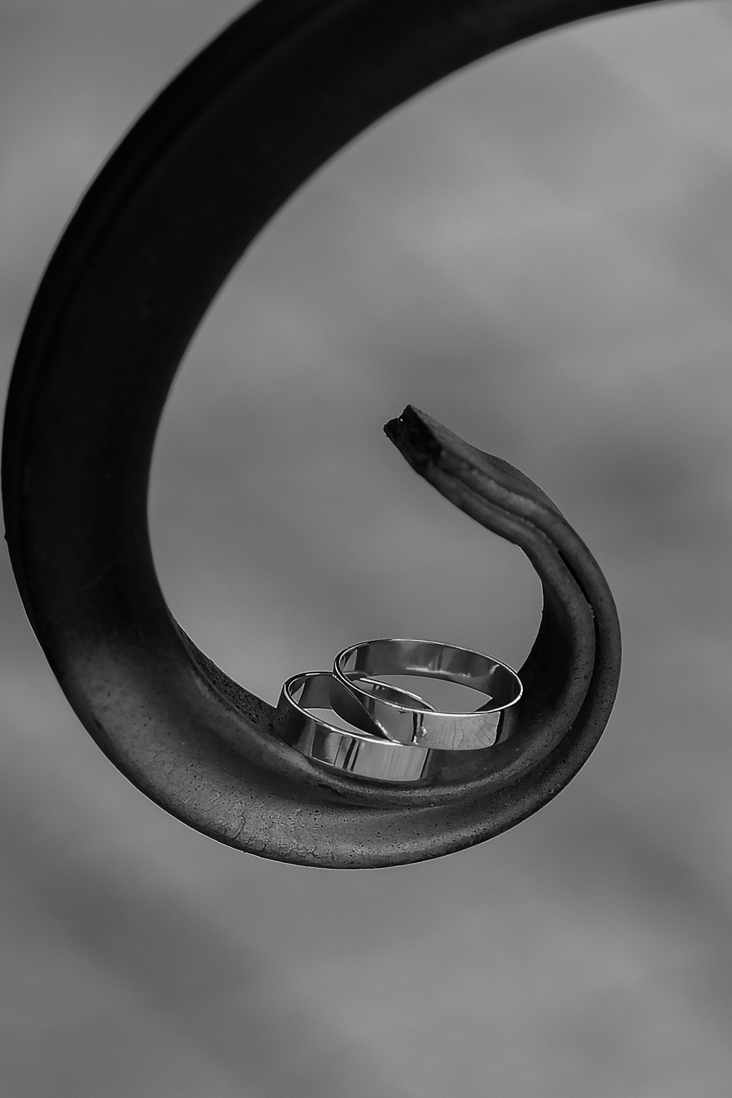 Свадебная прогулка. Свадебный и семейный фотограф в Ставрополе Евгения Кузьмичева