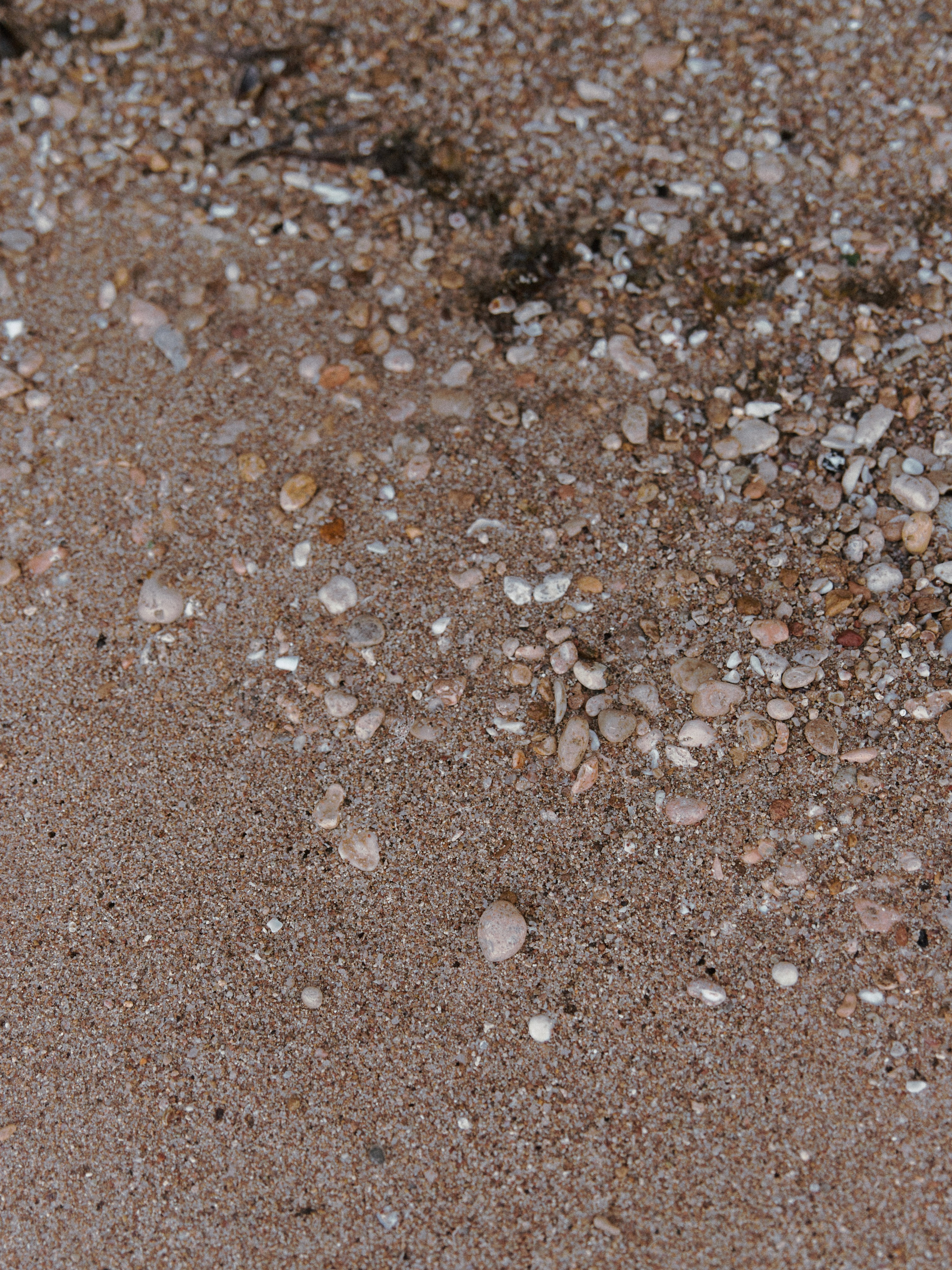 Природа. Jorgis Talè — photographer, kind person, teacher of arts and other mag