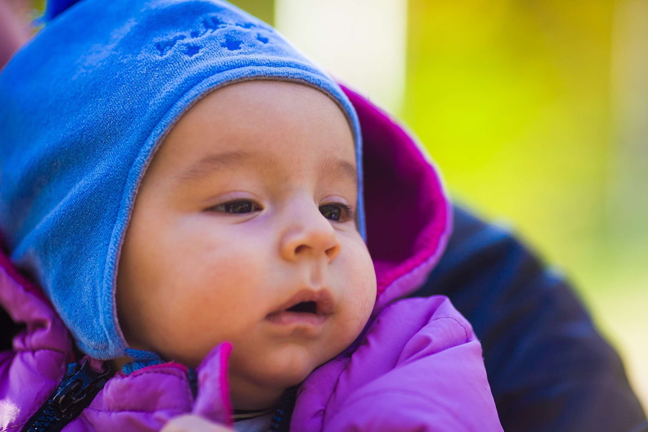 Осень. Дизайн интерьера Керчь, дизайнер интерьера Еремина Мария Керчь, Симфер