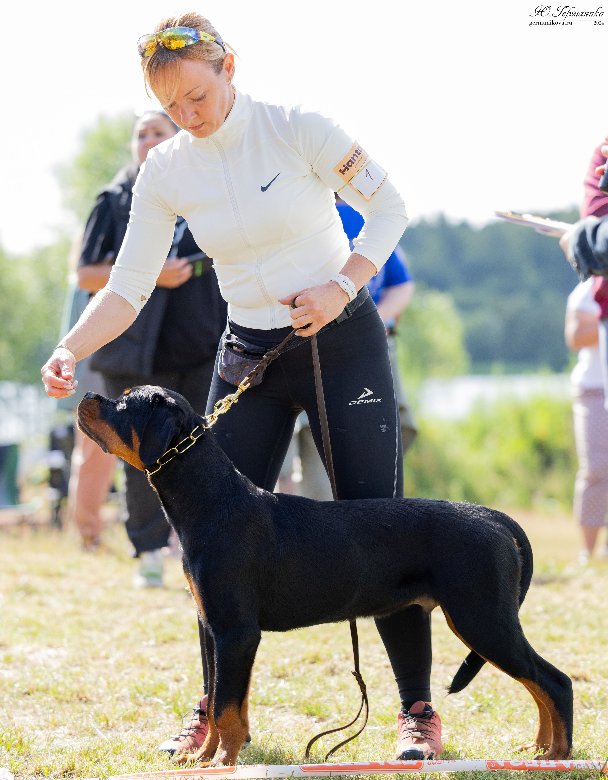 ПК и КЧК ротвейлеры Тверь 6-7.07.2024. Фотограф-анималист Юлия Германика