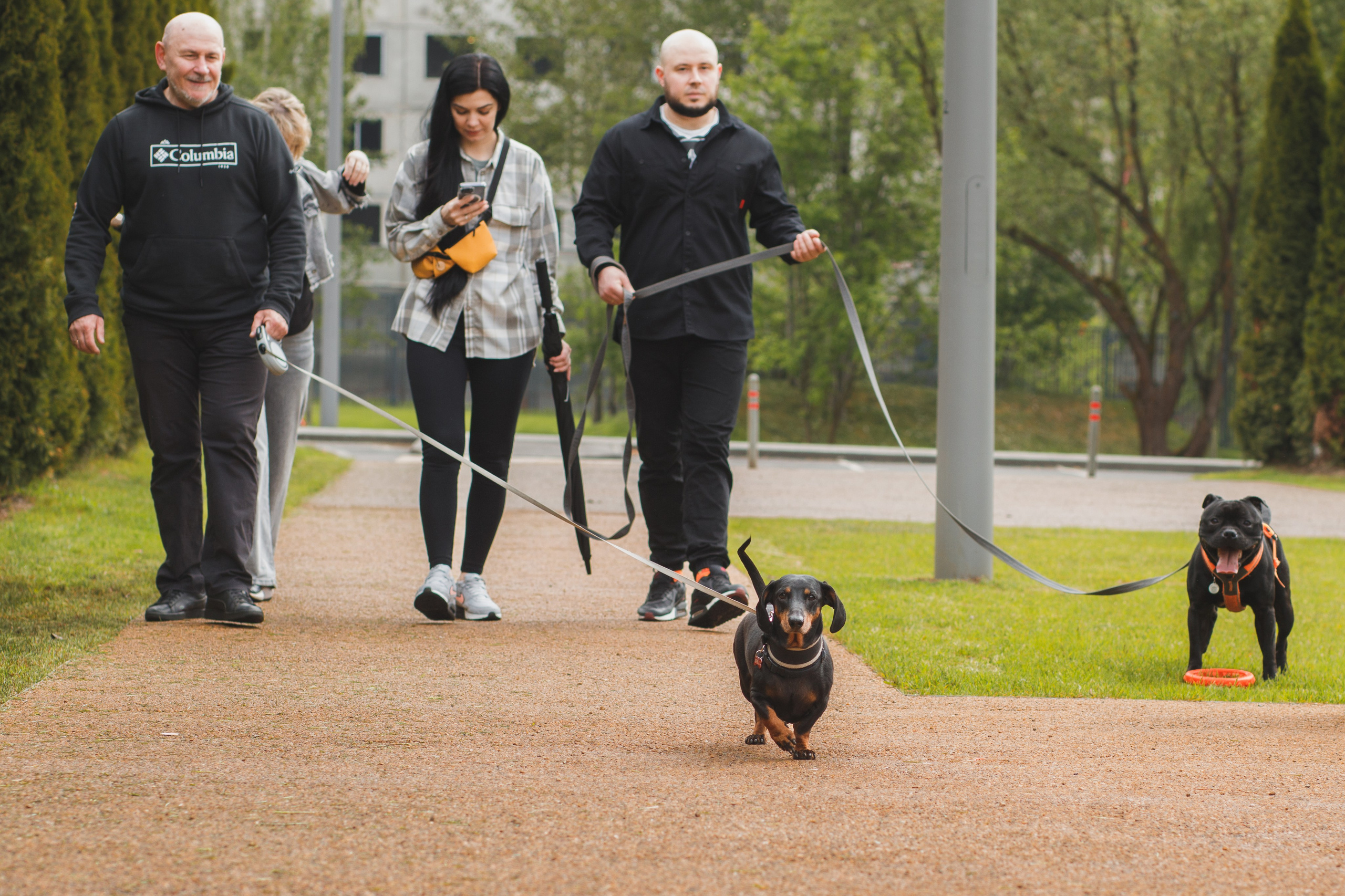 Фотопрогулка большой семьи с двумя собаками летом. Семейный и школьный фотограф в Москве Анна Ткач