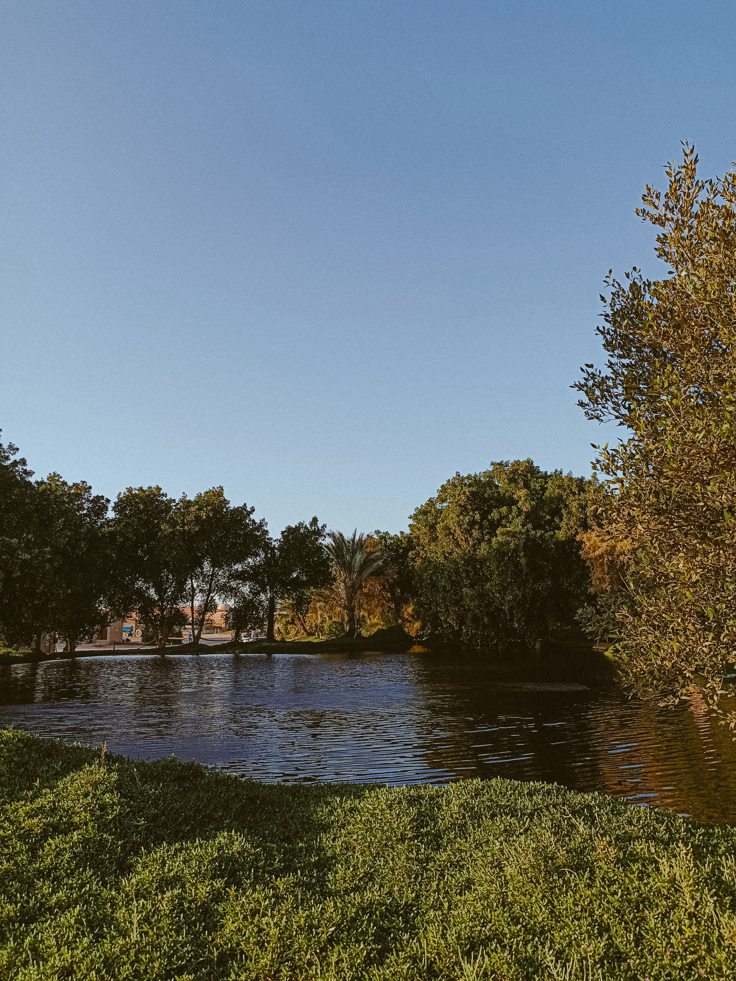 Мобильная. Jorgis — фотограф в Хургаде / обучение фотографии