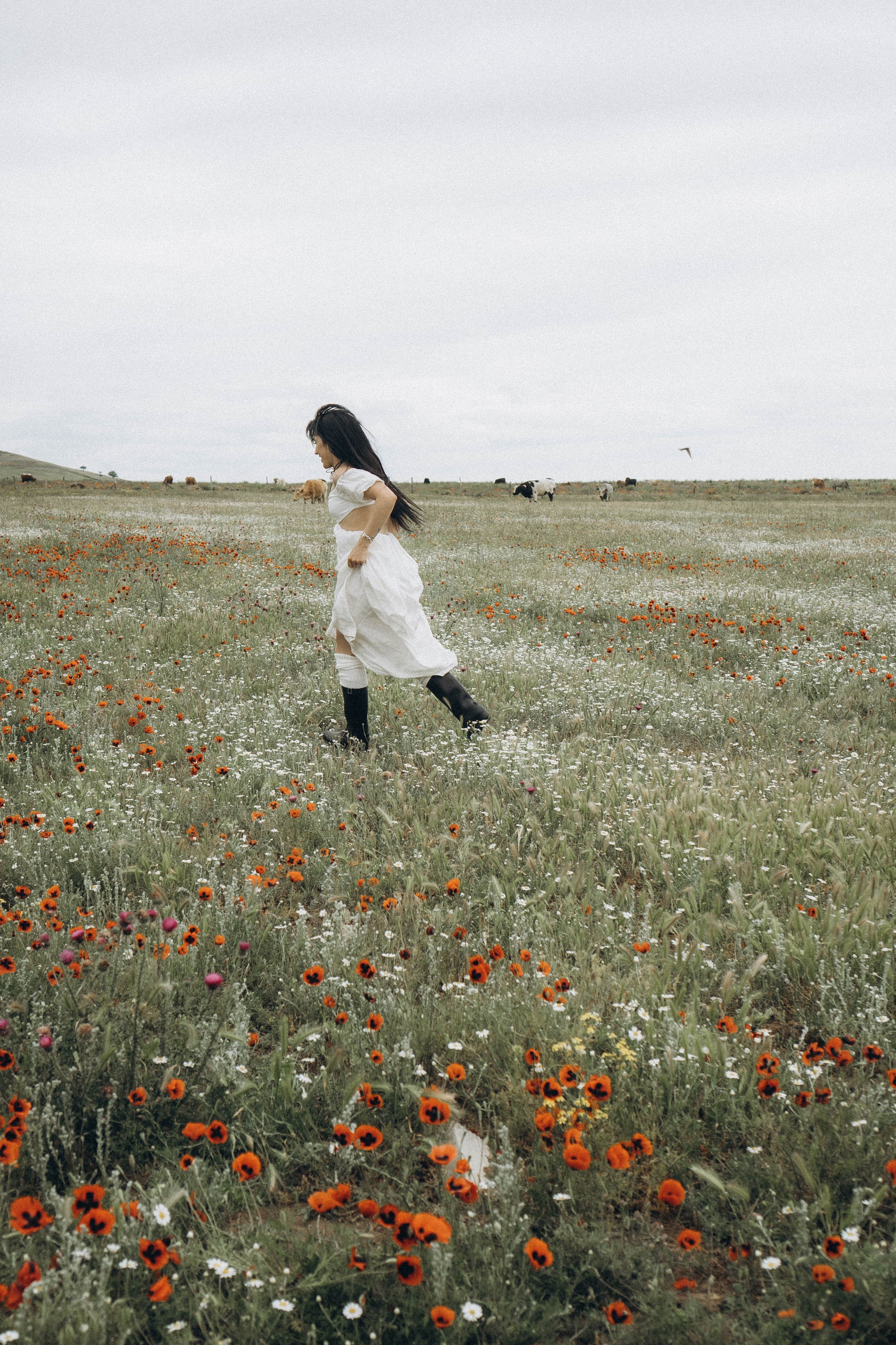 Маковое поле. Профессиональный фотограф, Санкт-Петербург — Виктория Богомолова
