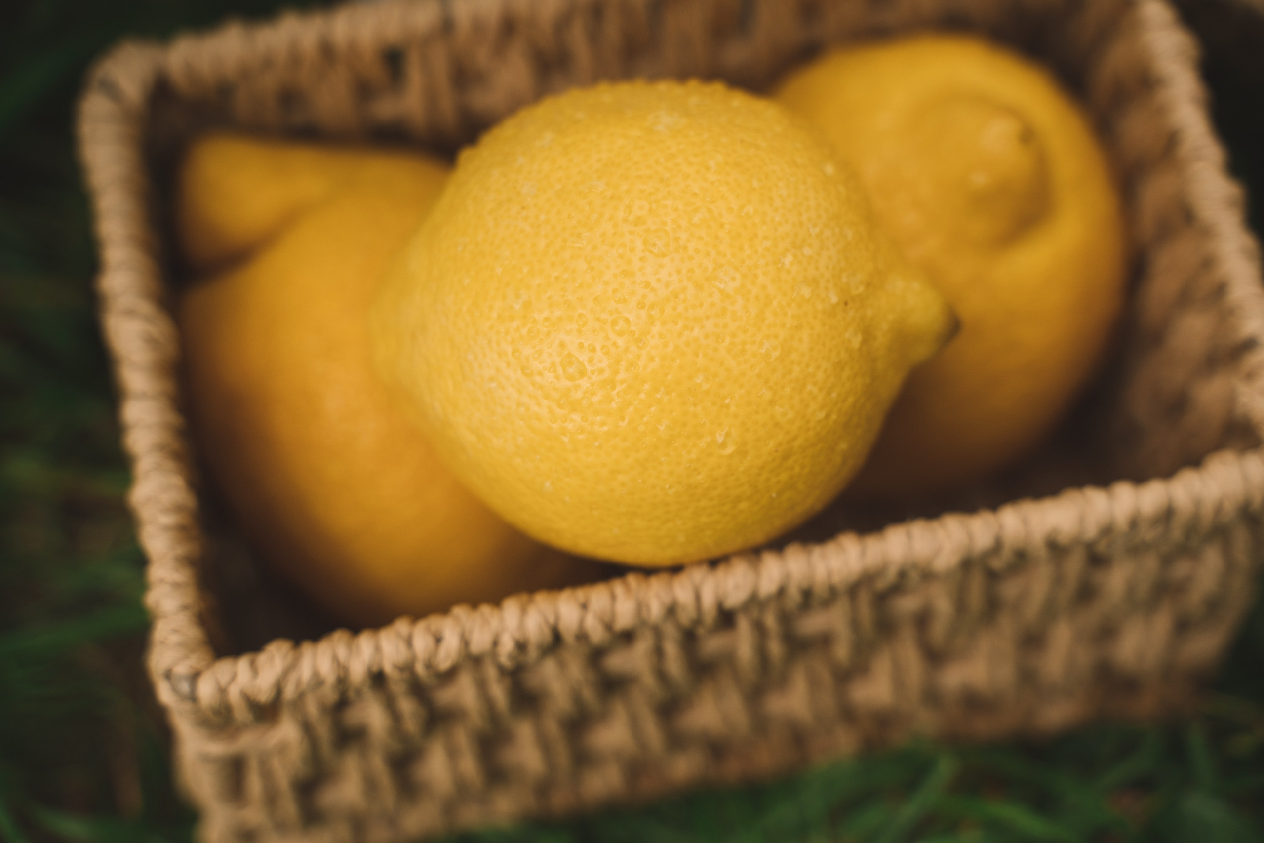 Илларион и Лиана. Свадебный фотограф в Сургуте