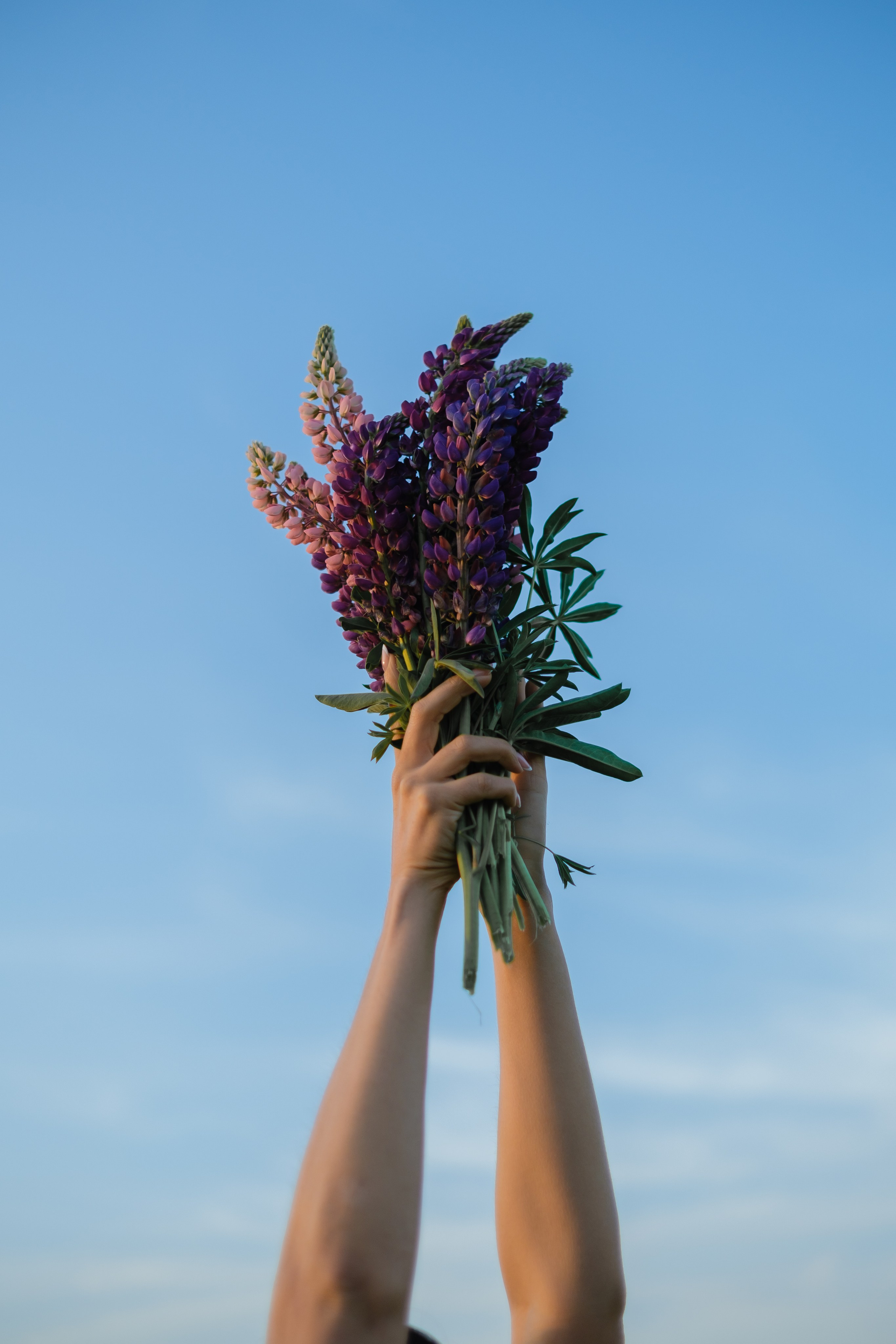 Женя. Фотограф в Кемерово Анастасия Филаткина