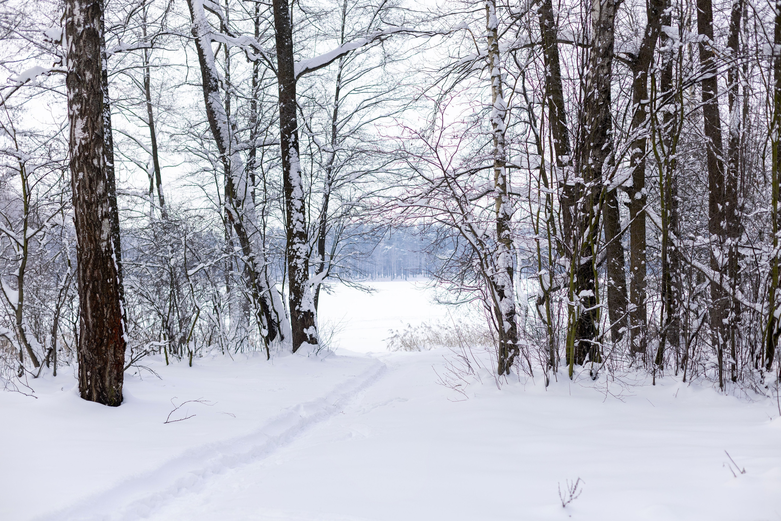 Сема и его родные. Семейный и детский фотограф Анна Петракова