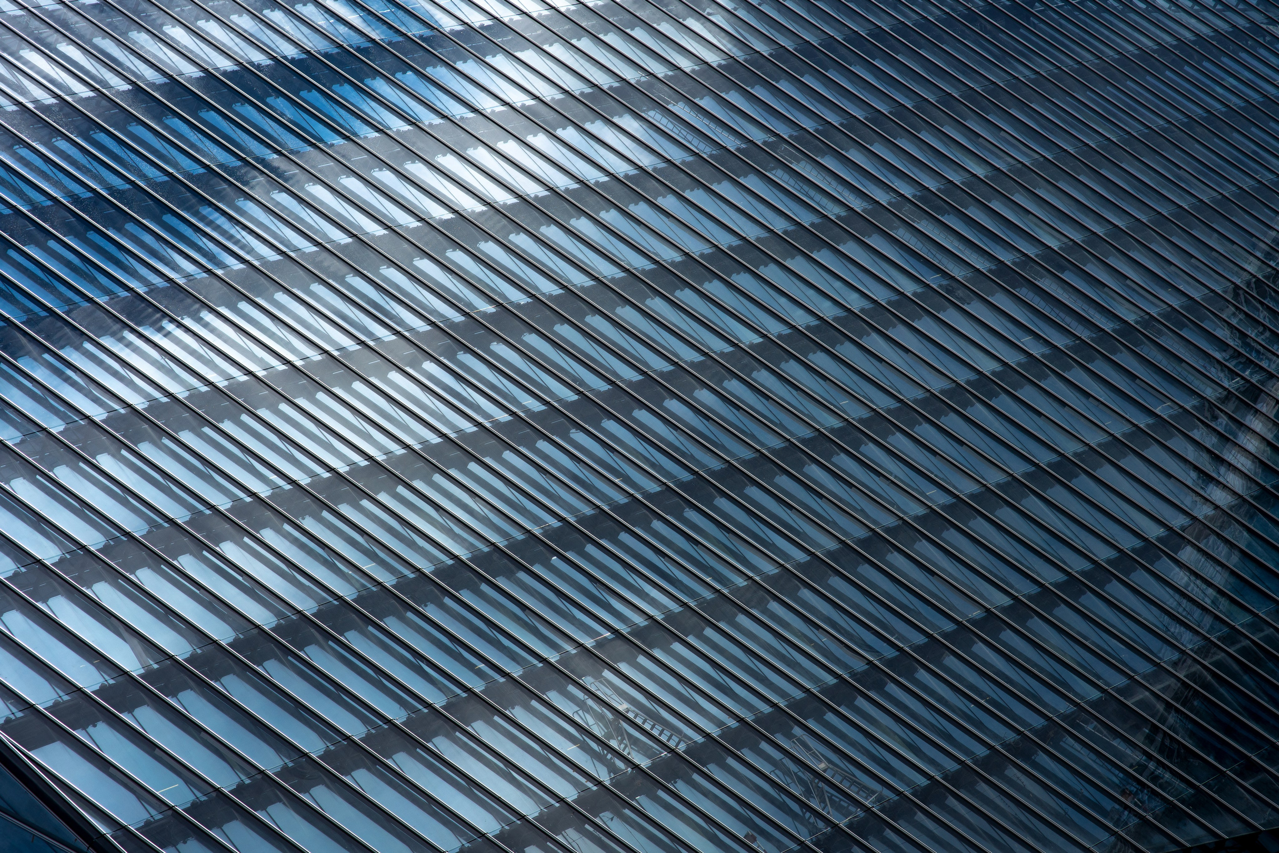 ЦВЕТНЫЕ ФОТОГРАФИИ. Никита Аничкин фото и видео оператор из России