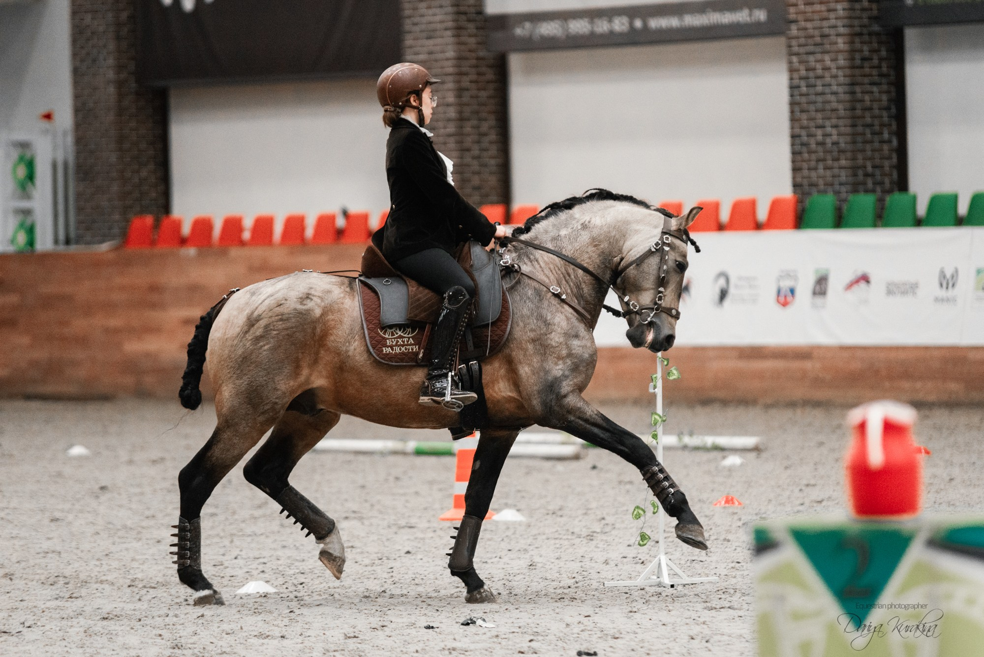 8-я международная выставка Конная Россия. Конный фотограф Куракина Дарья • Фотосессии с лошадьми