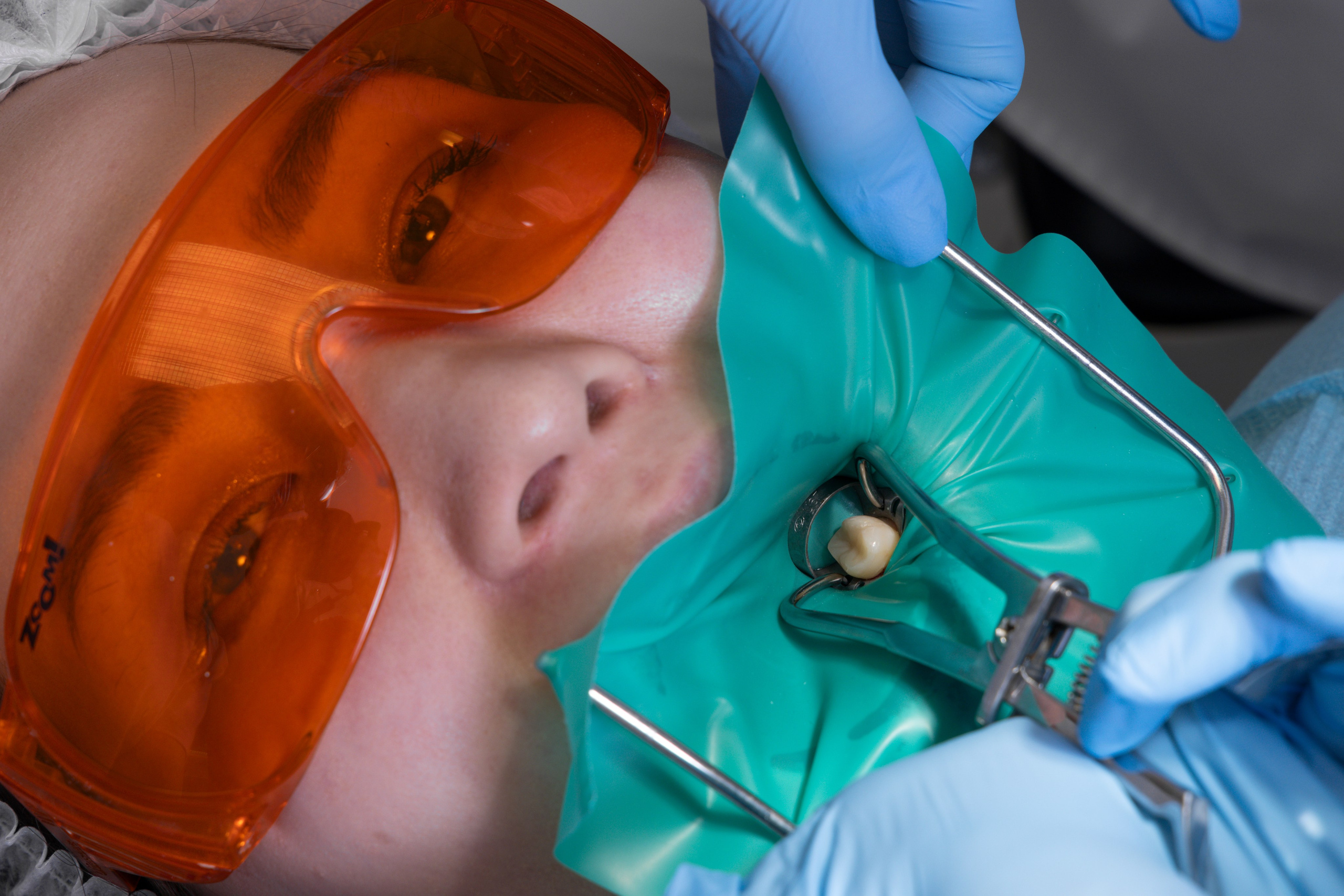 Стоматалогия. Photomantis