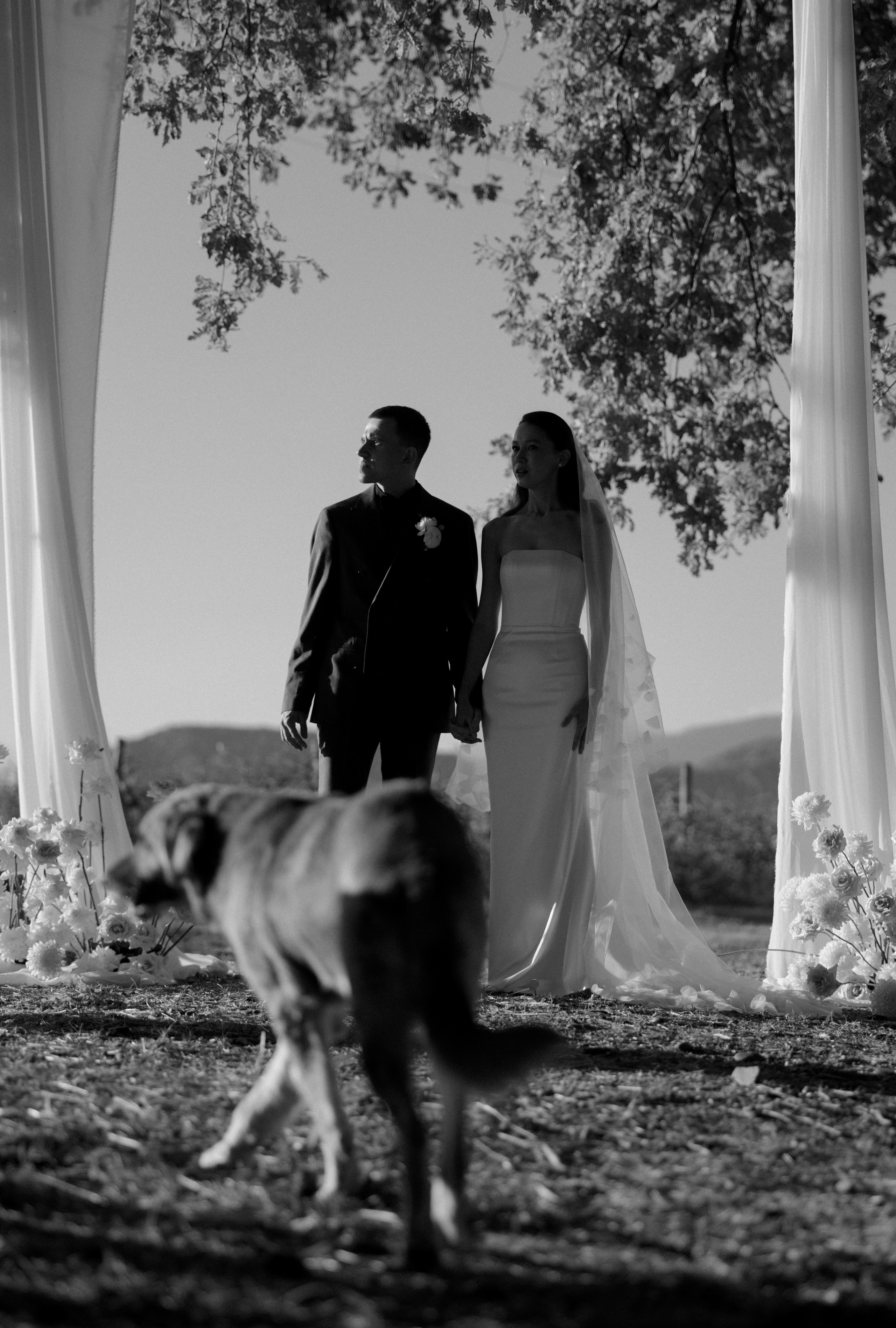 Грузия. Свадебный фотограф Москва Мотеюнайте Виктория