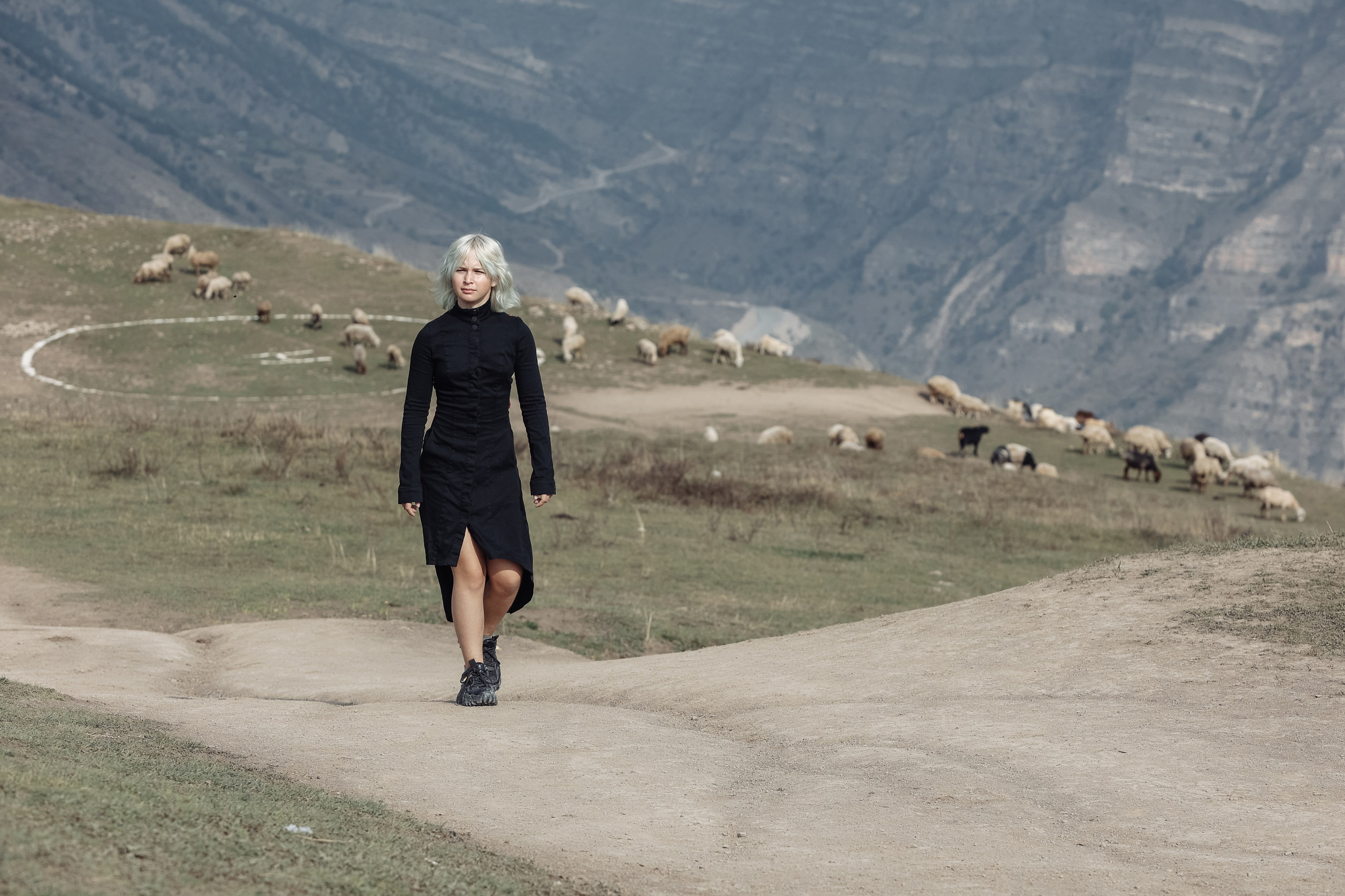 Ева Демидова. Спортсмен по конкуру в Санкт-Петербуре