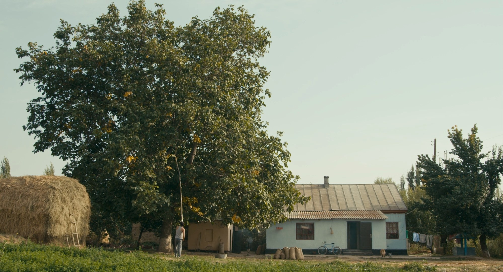 Цветокоррекция комедии «Орех». Цветокоррекция и мастеринг видео в Санкт-Петербурге — Антон Евтягин