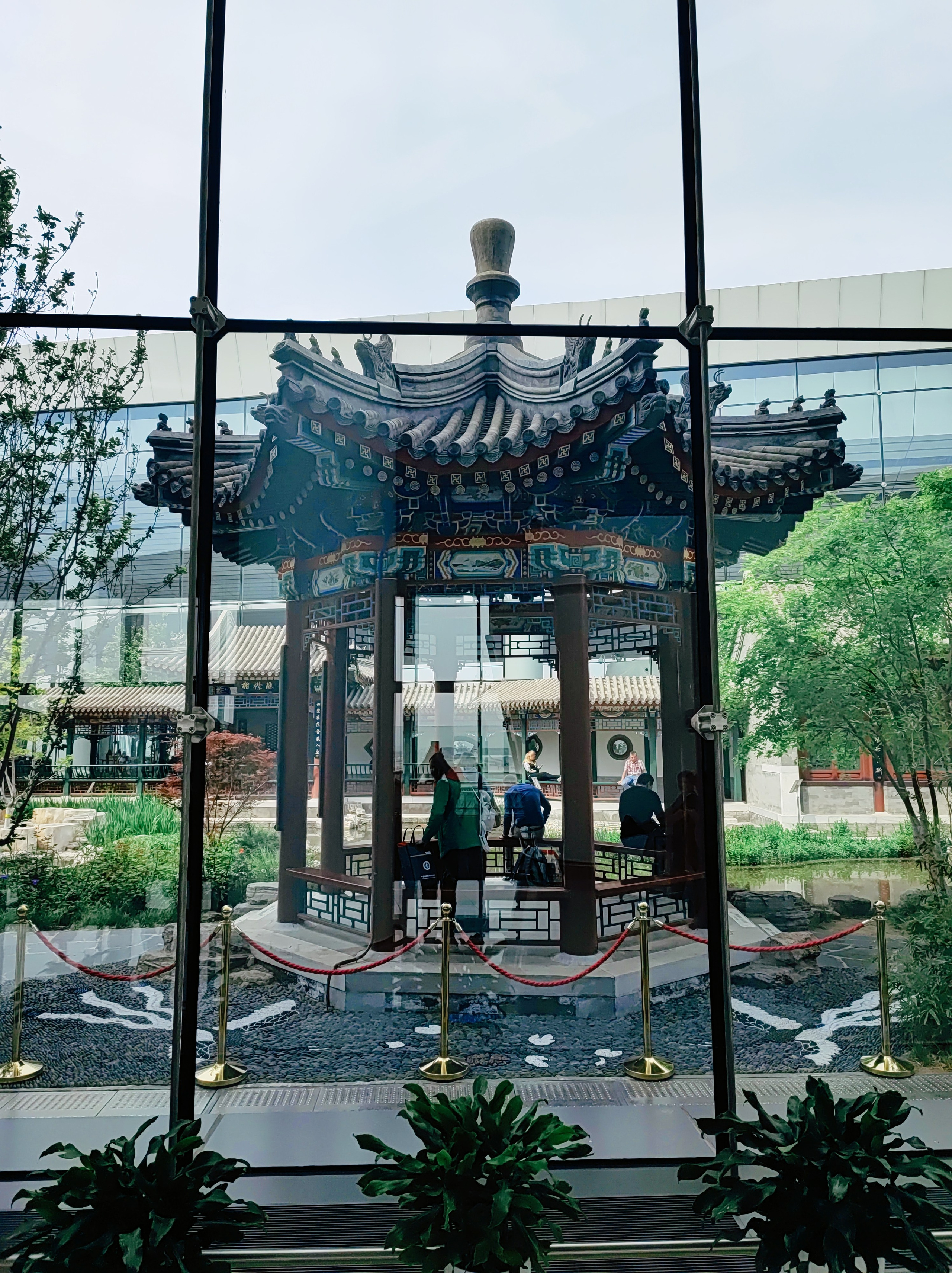 Намобилкус китайский. Репортажный фотограф Алексей Пирязев