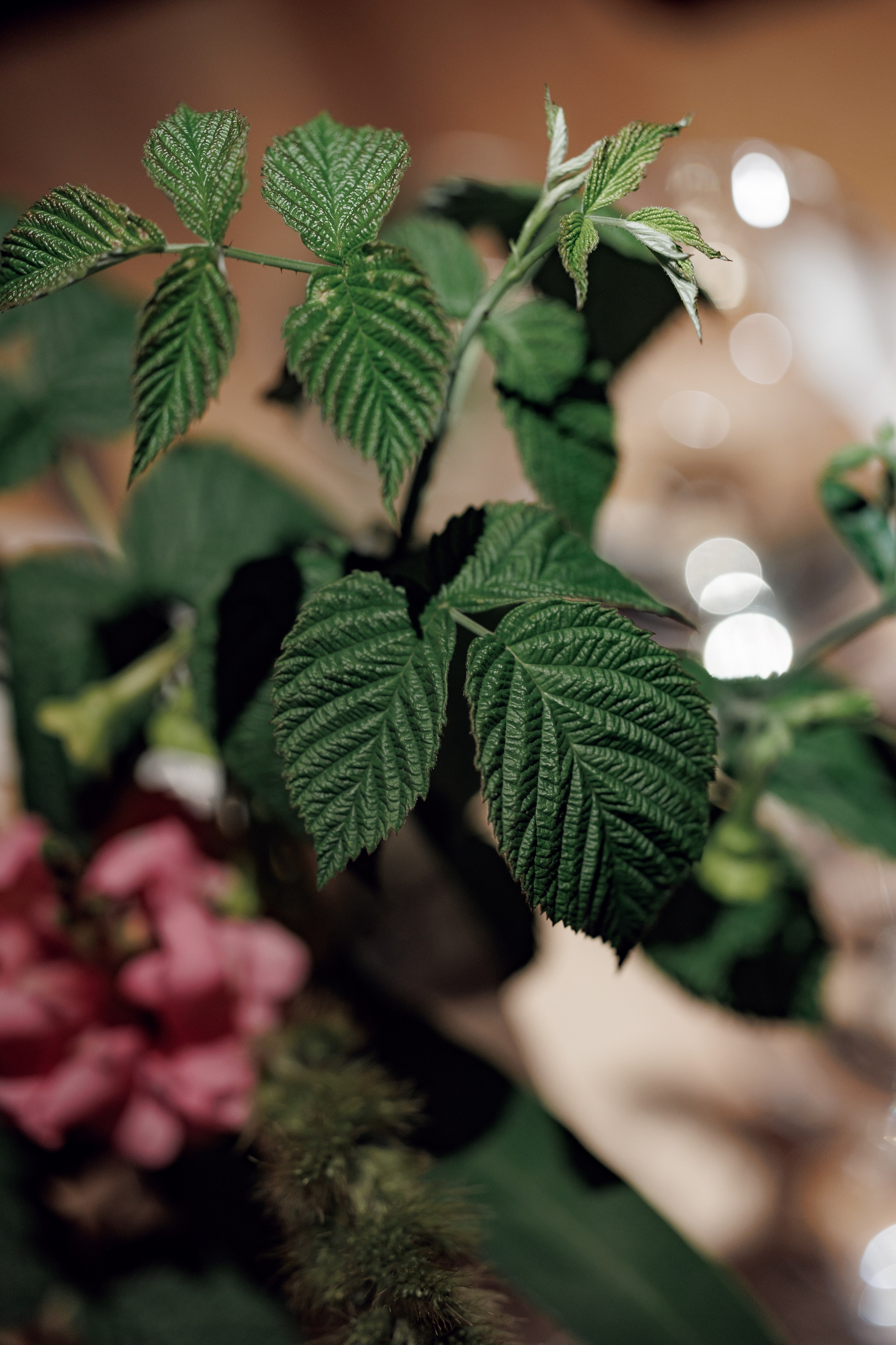 Гастроужин в ресторане Усадьба рябининых челябинск