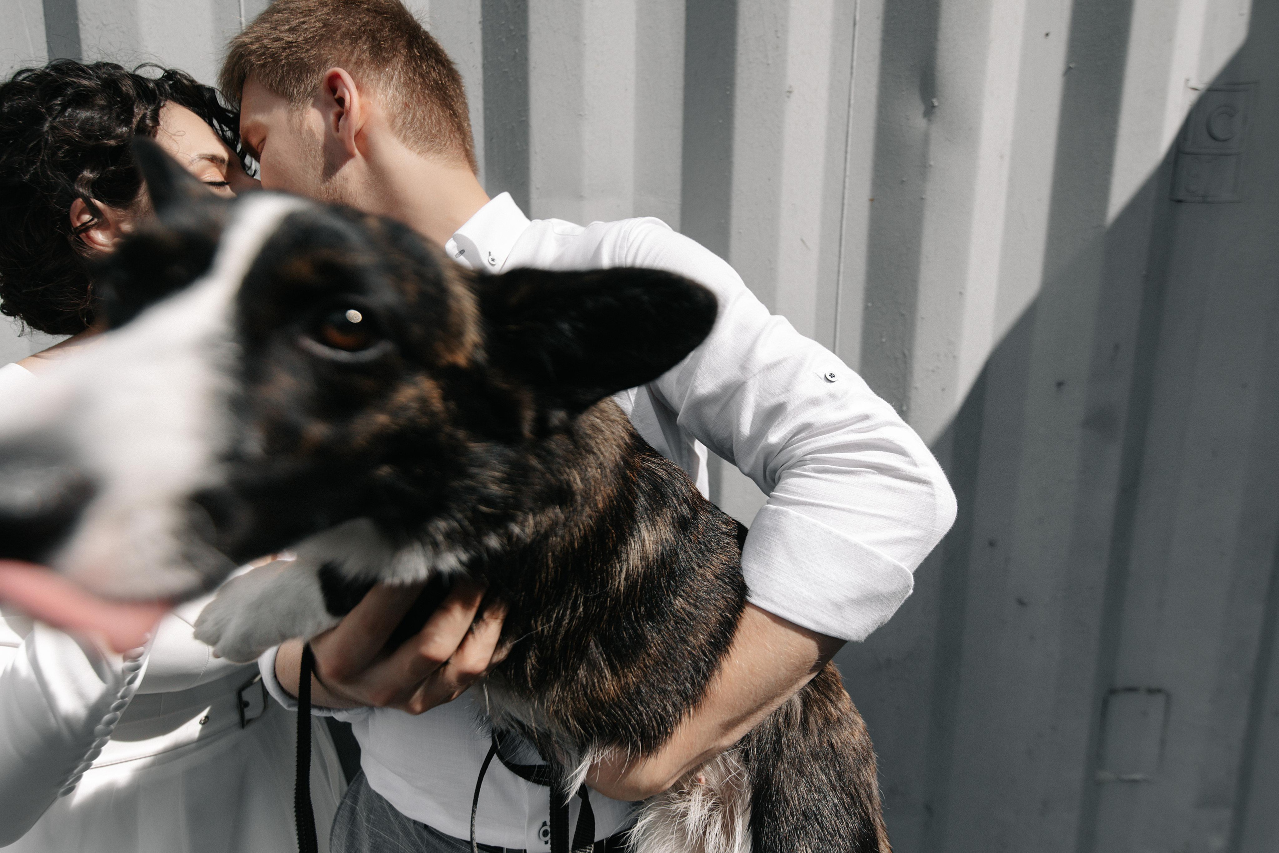 Свадьбы. Фотограф в Новосибирске и Москве