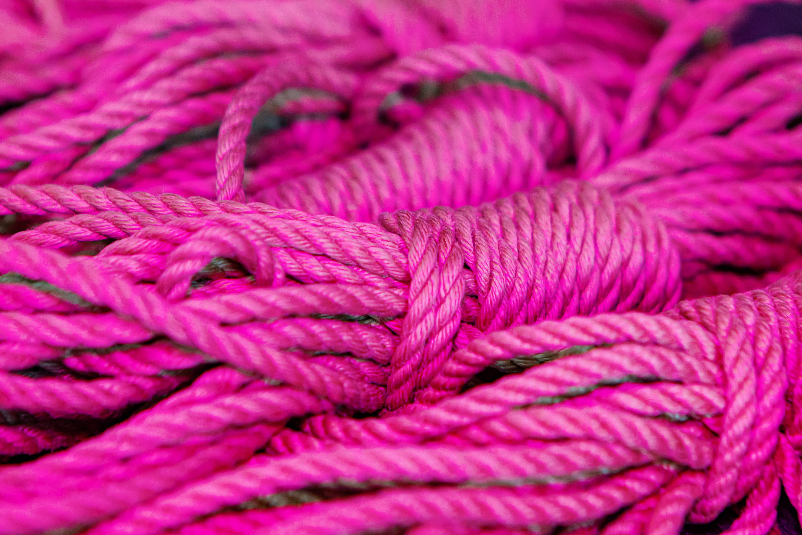 Искусство шибари (18+). Фотограф в Екатеринбурге Пойгина Елена