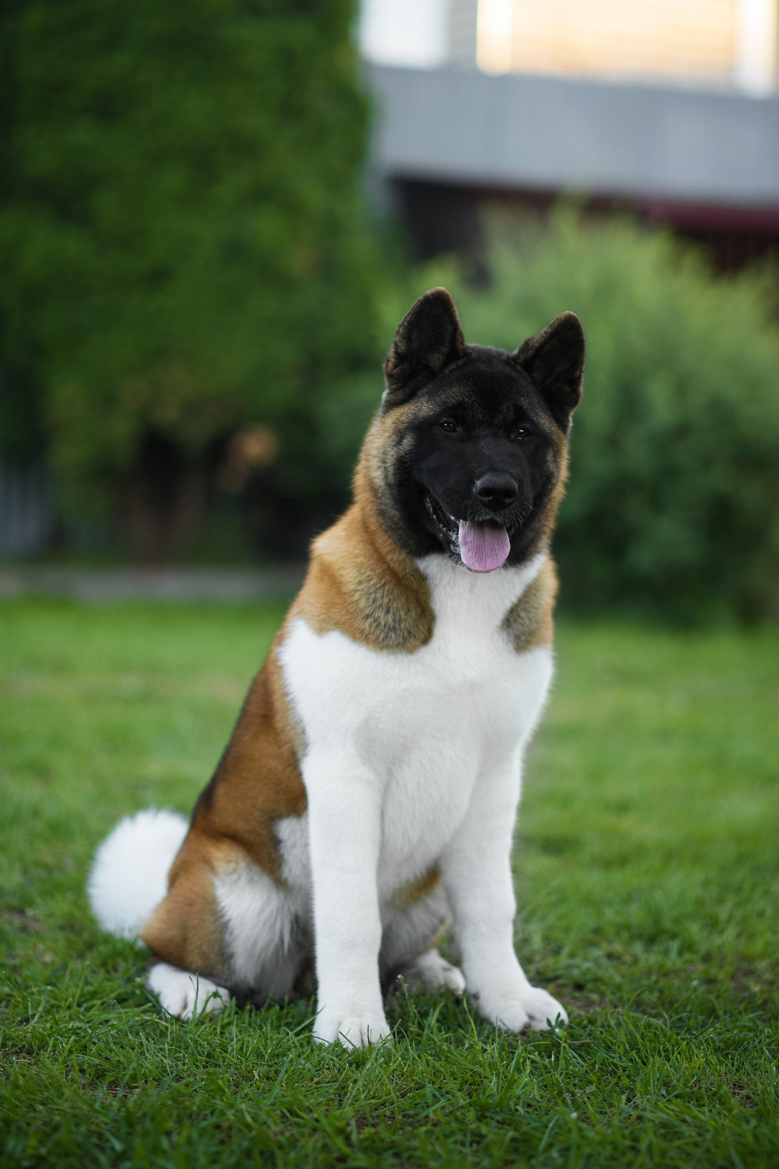 Луна — 21.06.2024. Фотограф — Анималист | Анна Абрамова