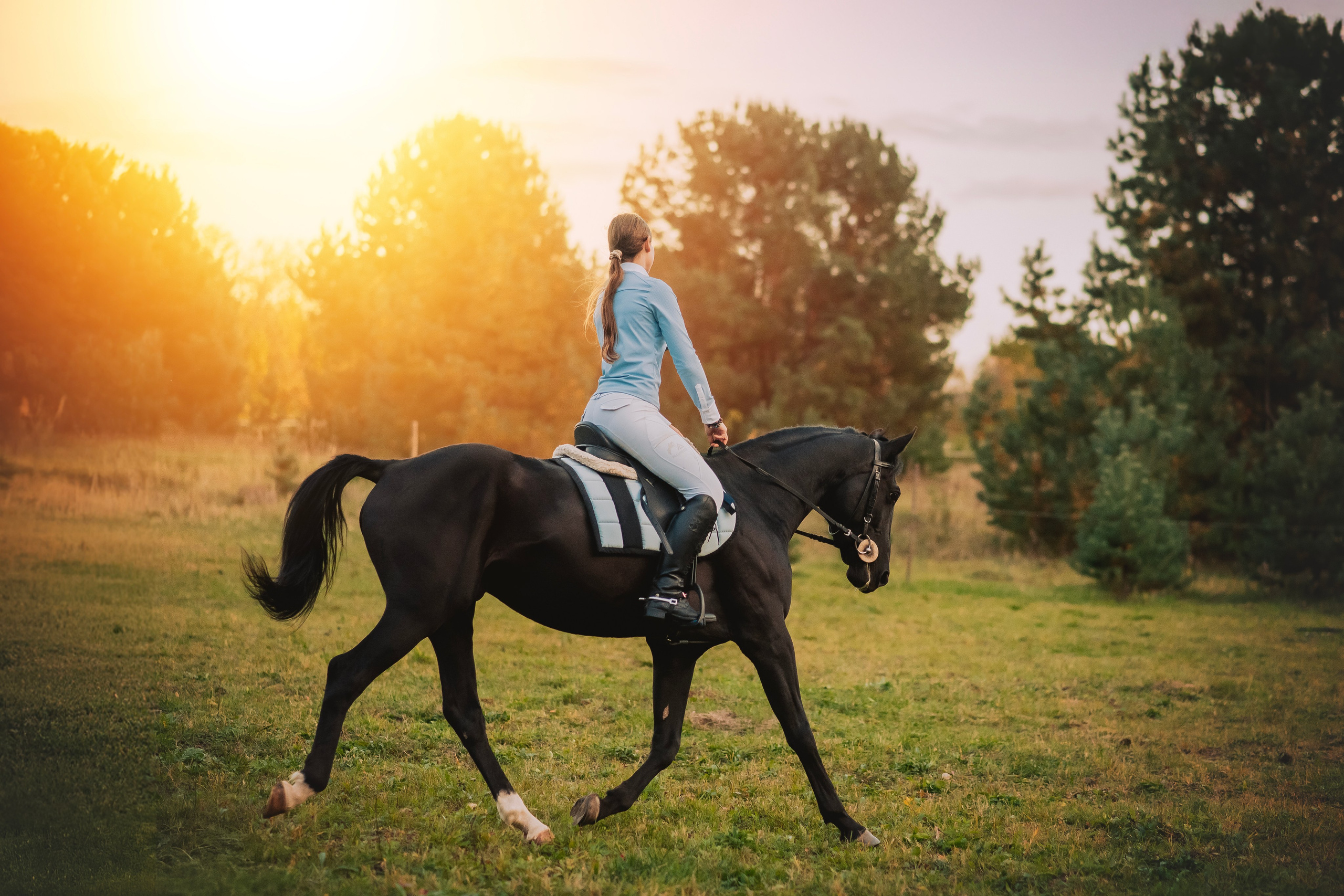 Дени — 23.09.2025. Фотограф — Анималист | Анна Абрамова