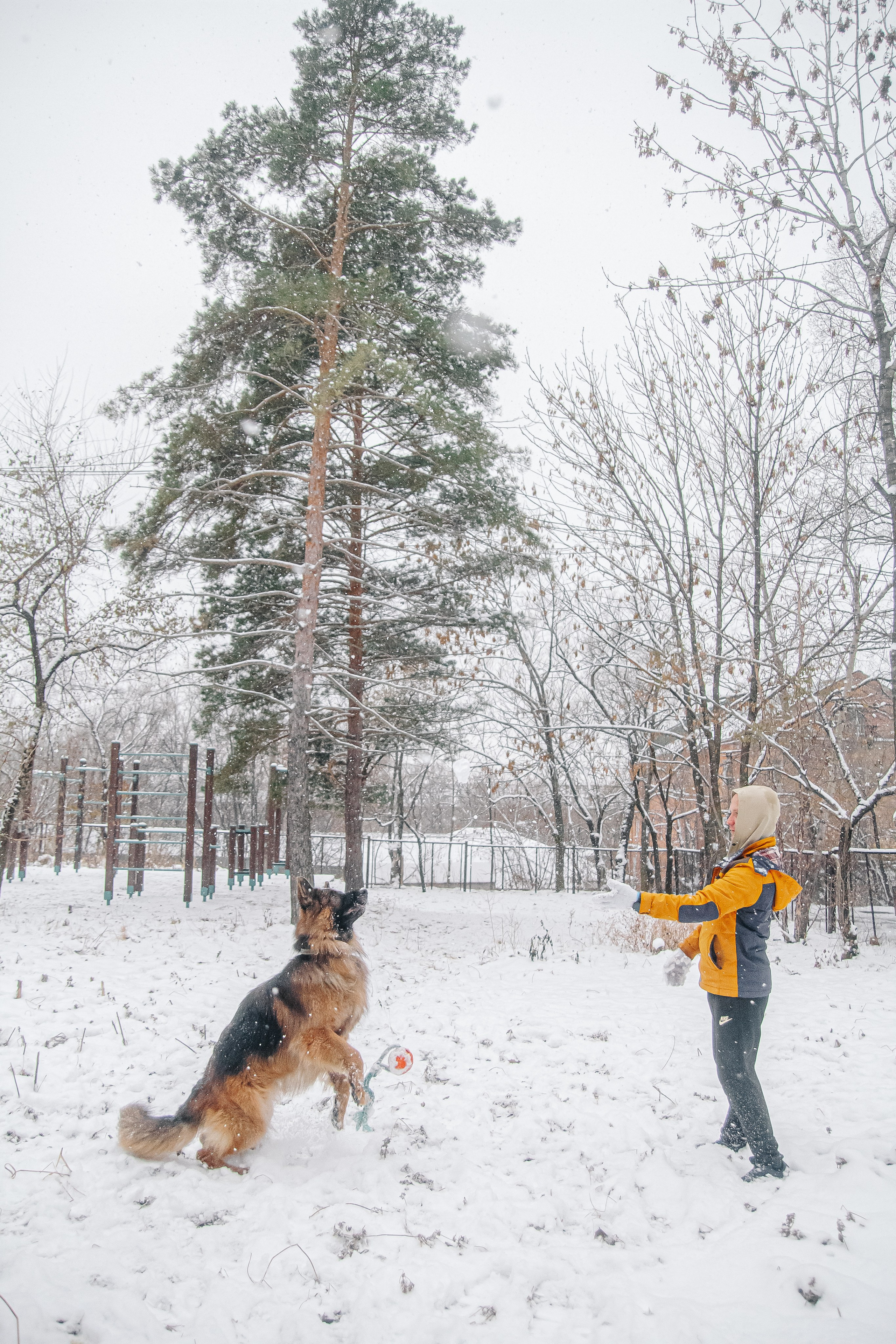 Первый снег 24. Фотограф в Хабаровске Юлия Чванова
