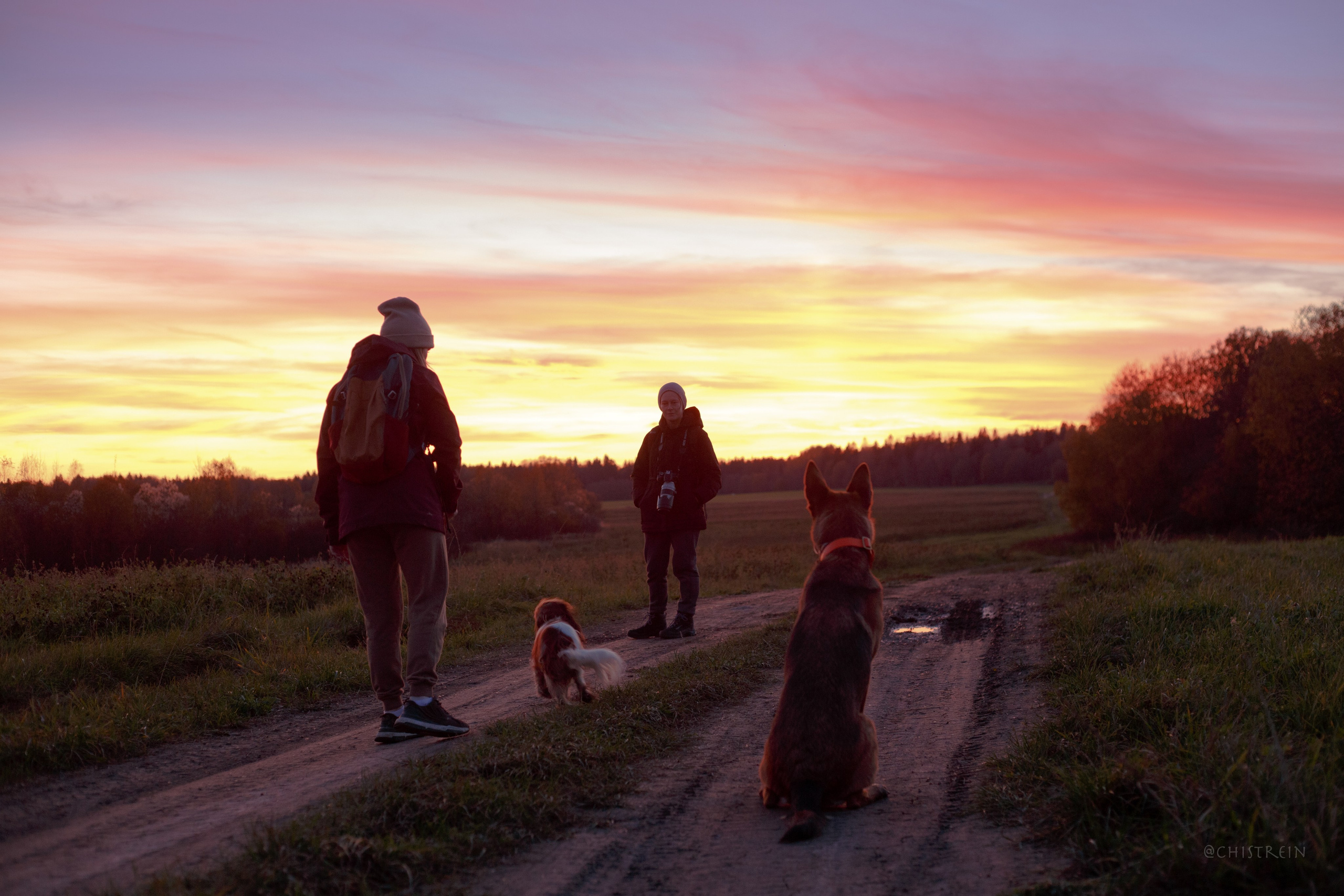 Октябрьский закат в полях. Алина и Лео. Фотограф-анималист Наталия Чистюхина в г. Сосновый Бор и ЛО