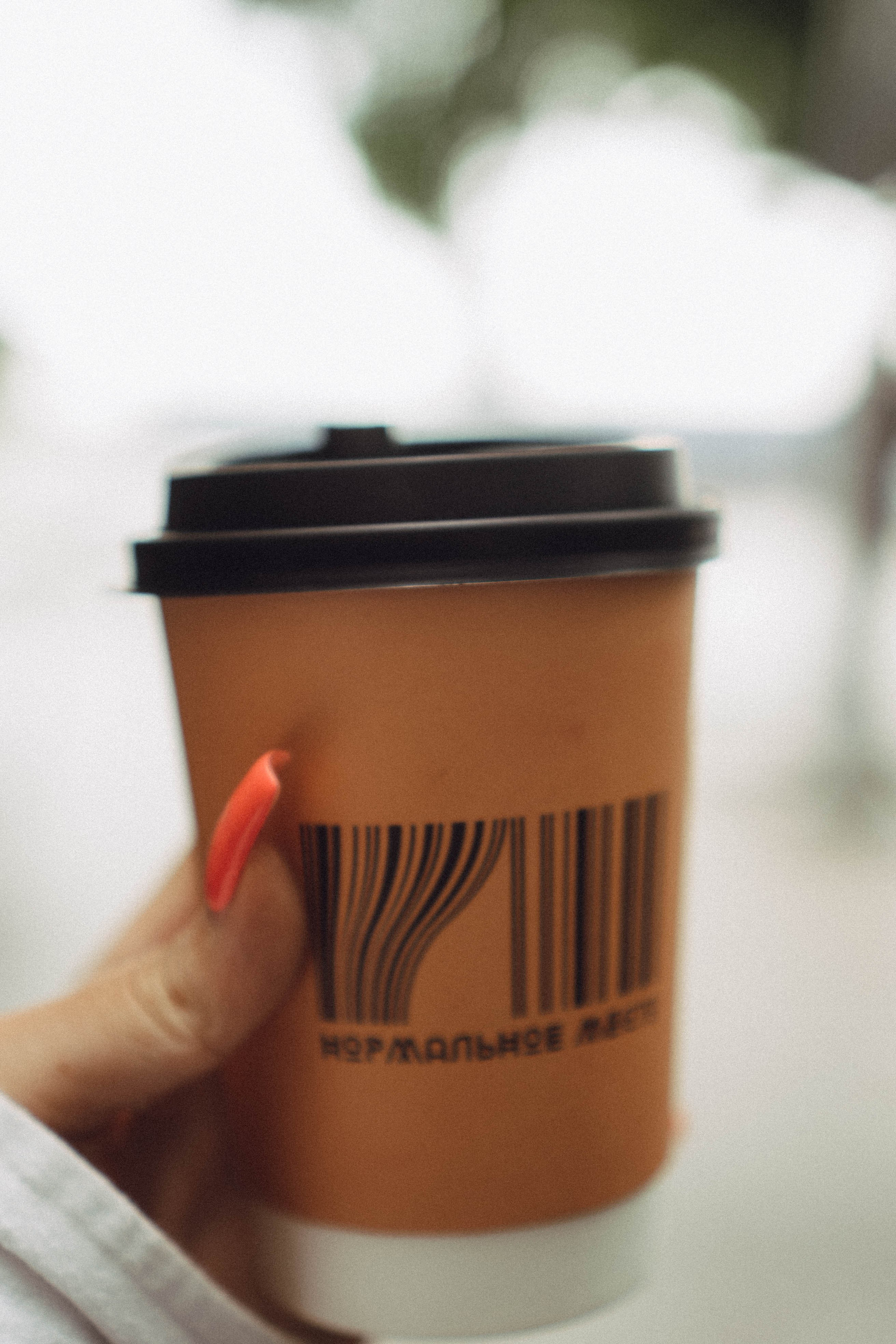 Кавказ. Профессиональный фотограф, Санкт-Петербург — Виктория Богомолова