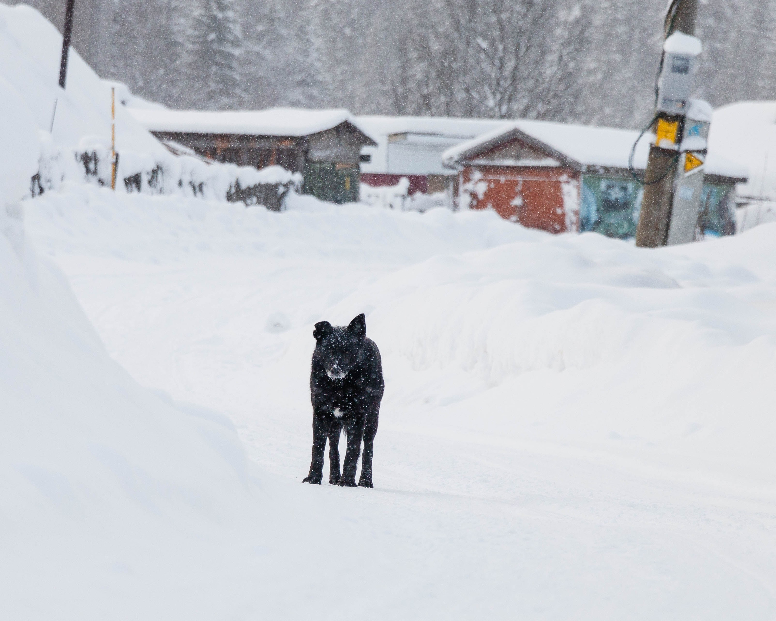 Усьва и усьвинские столбы. Олег Романов. Мастер фото по спорту