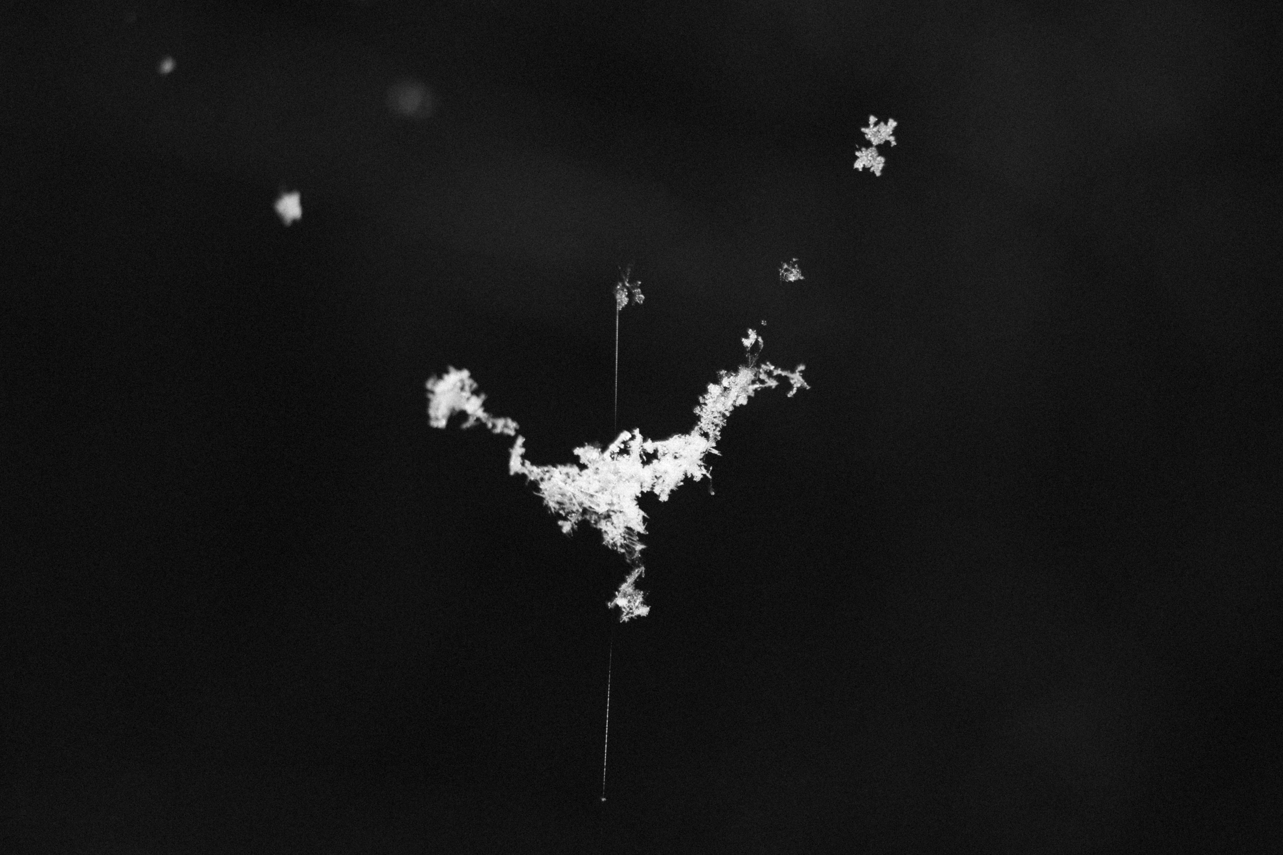 Интимный пейзаж. Олег Романов. Мастер фото по спорту