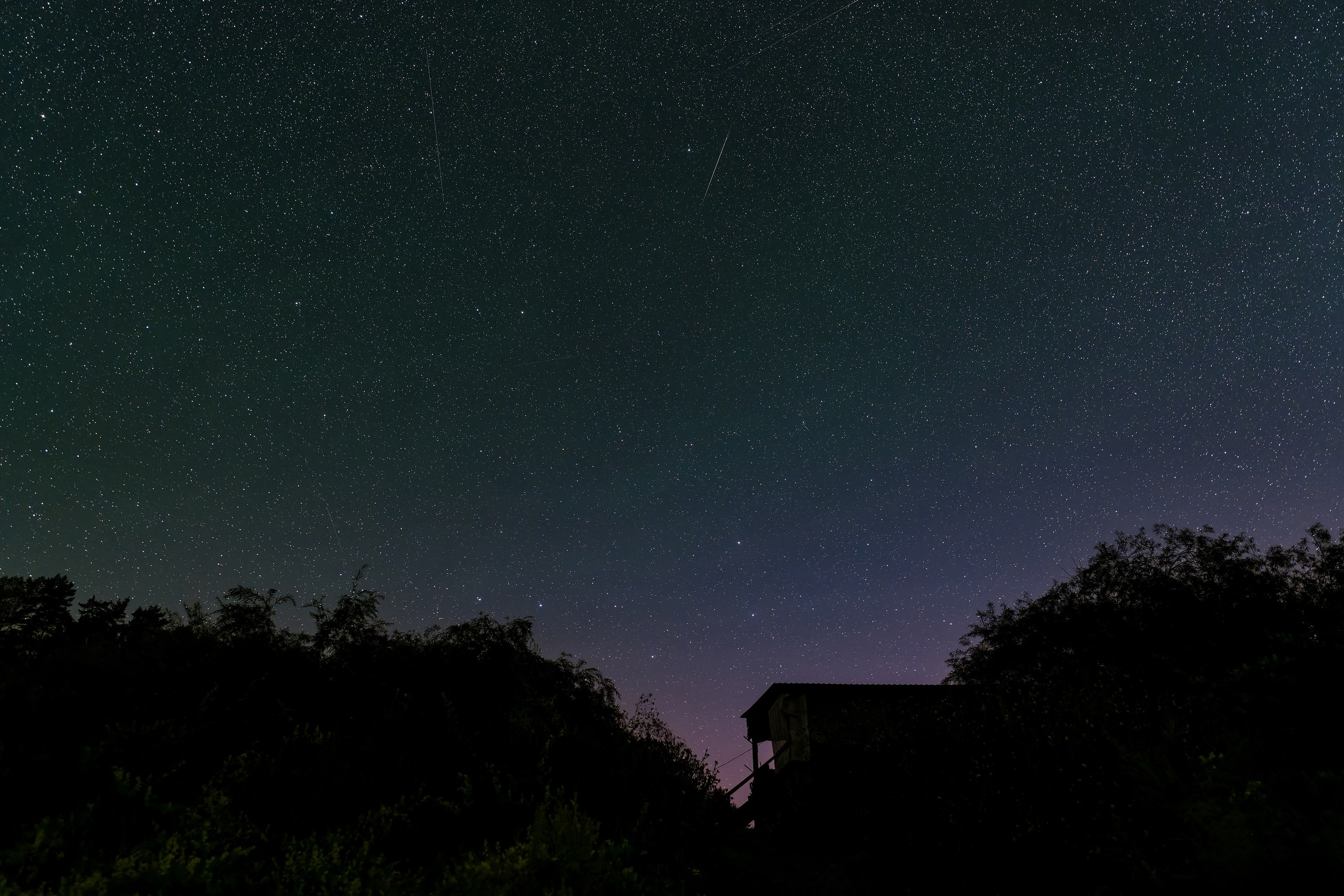 Фотографии Национальный парк Угра. Фотограф спортивные события, недвижимость, турбизнес