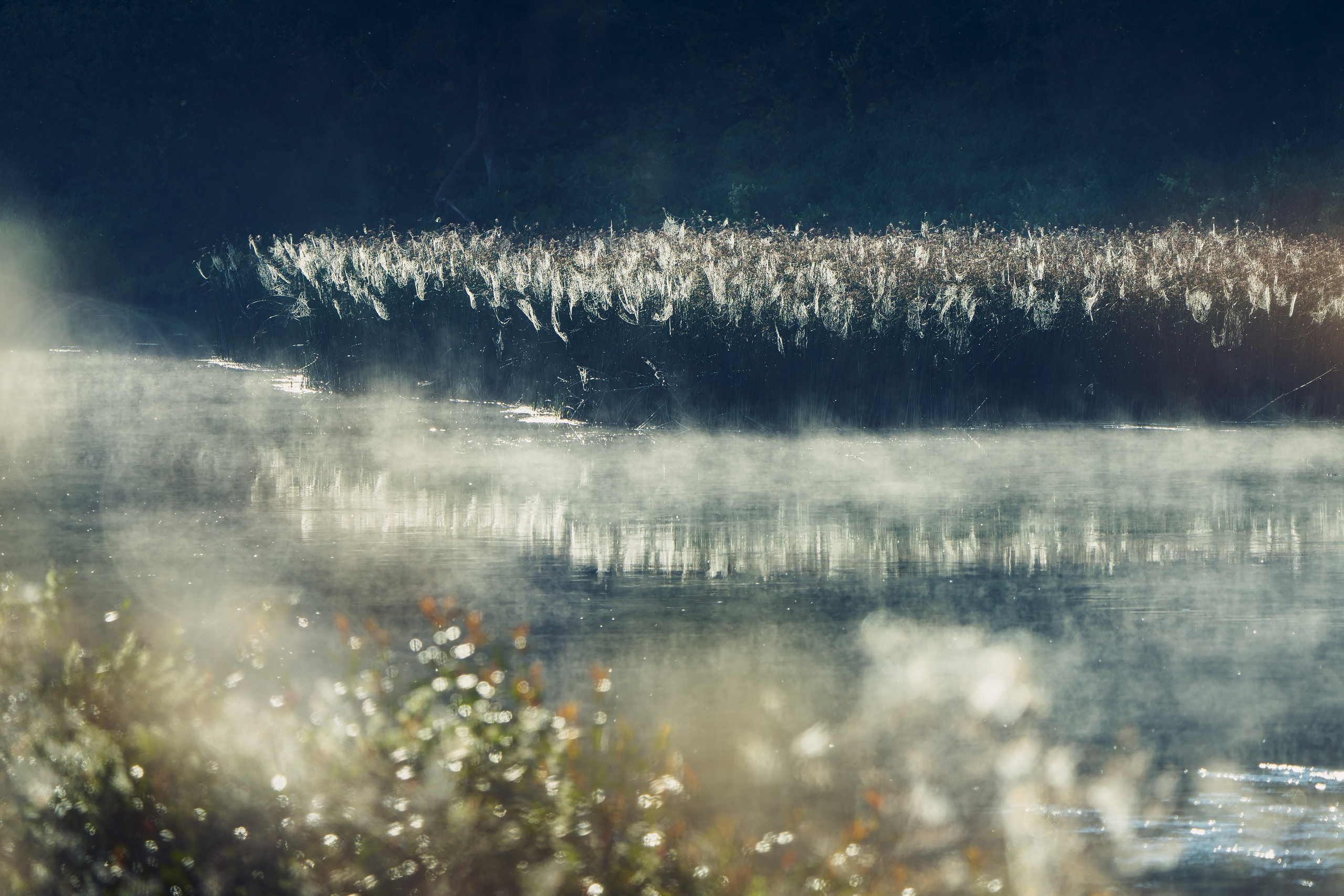 Фотографии Национальный парк Угра. Фотограф спортивные события, недвижимость, турбизнес