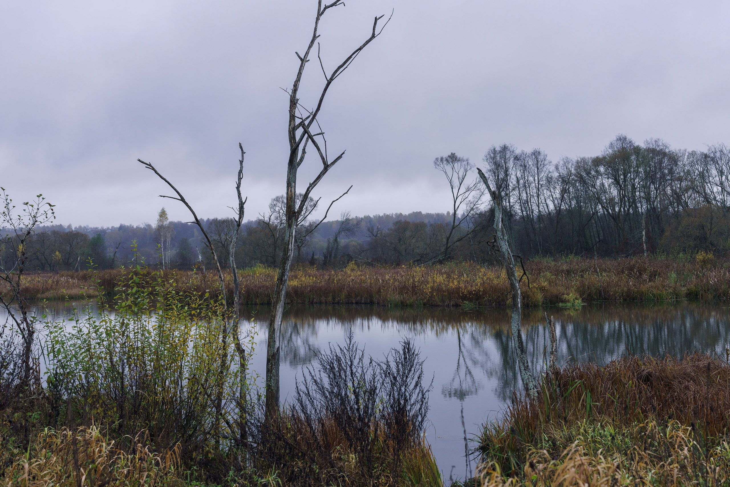 Фотографии Трейл Кутузов 2025. Фотограф спортивные события, недвижимость, турбизнес
