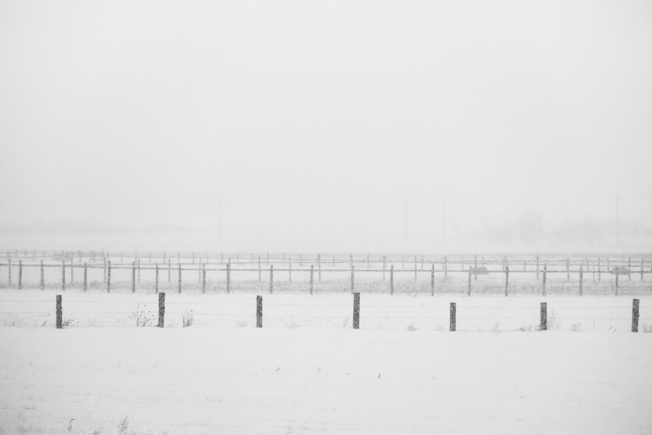 Silence. Irina Borodina