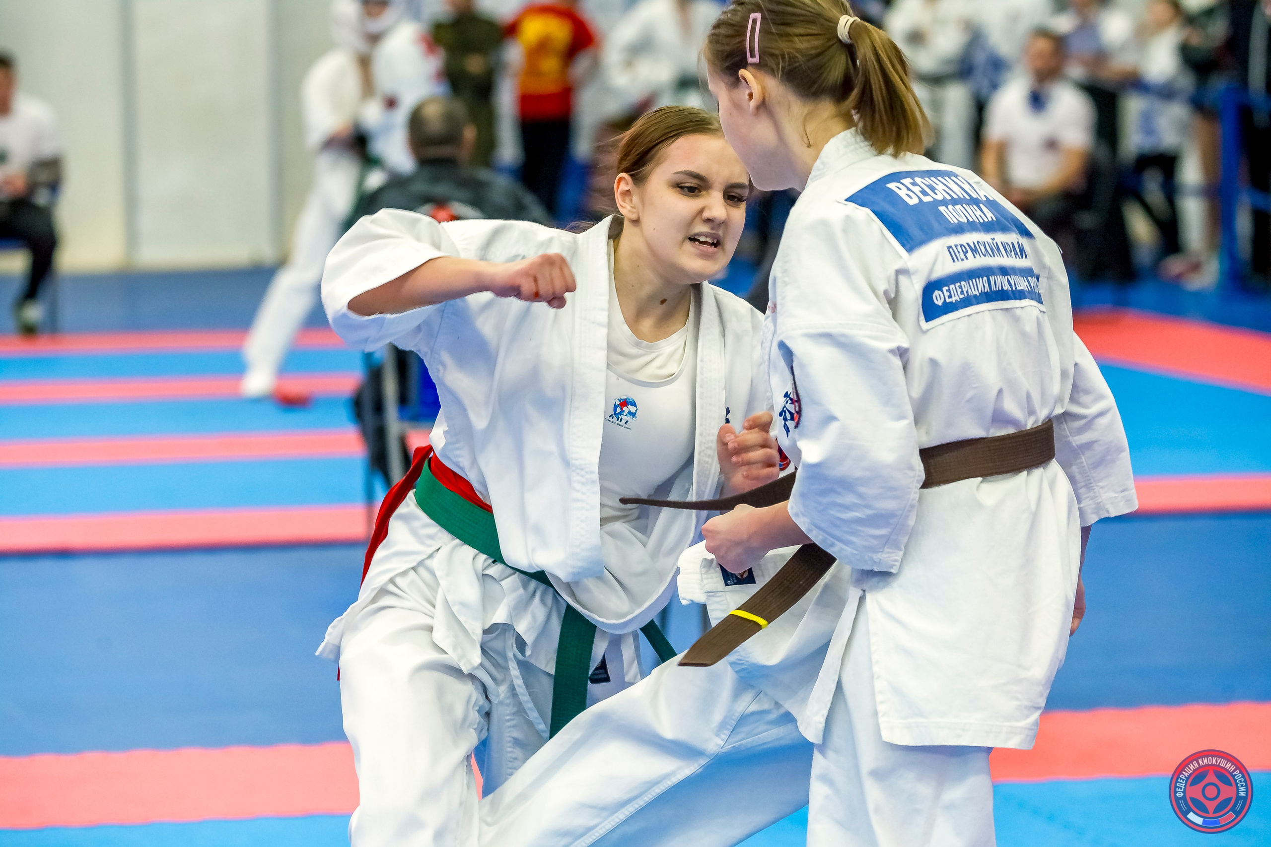 Международный турнир по киокушин «Открытый кубок Seiken». Репортажная съемка в Москве и области. Анималистика