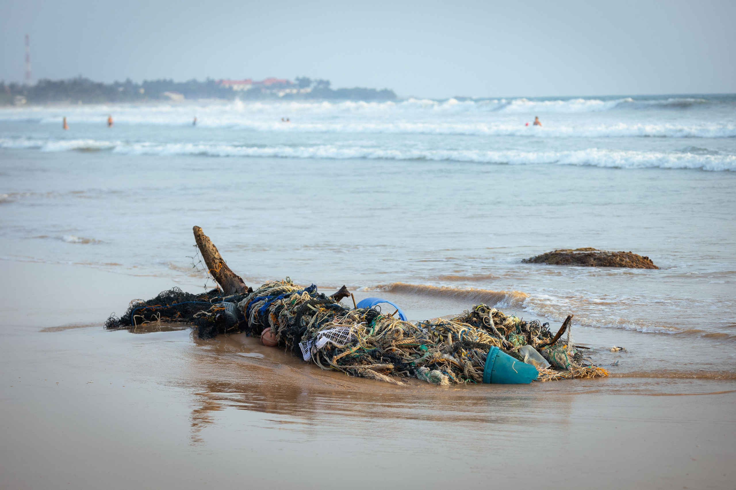 Шри-Ланка (весна 2024). Фотограф Виноградов Константин