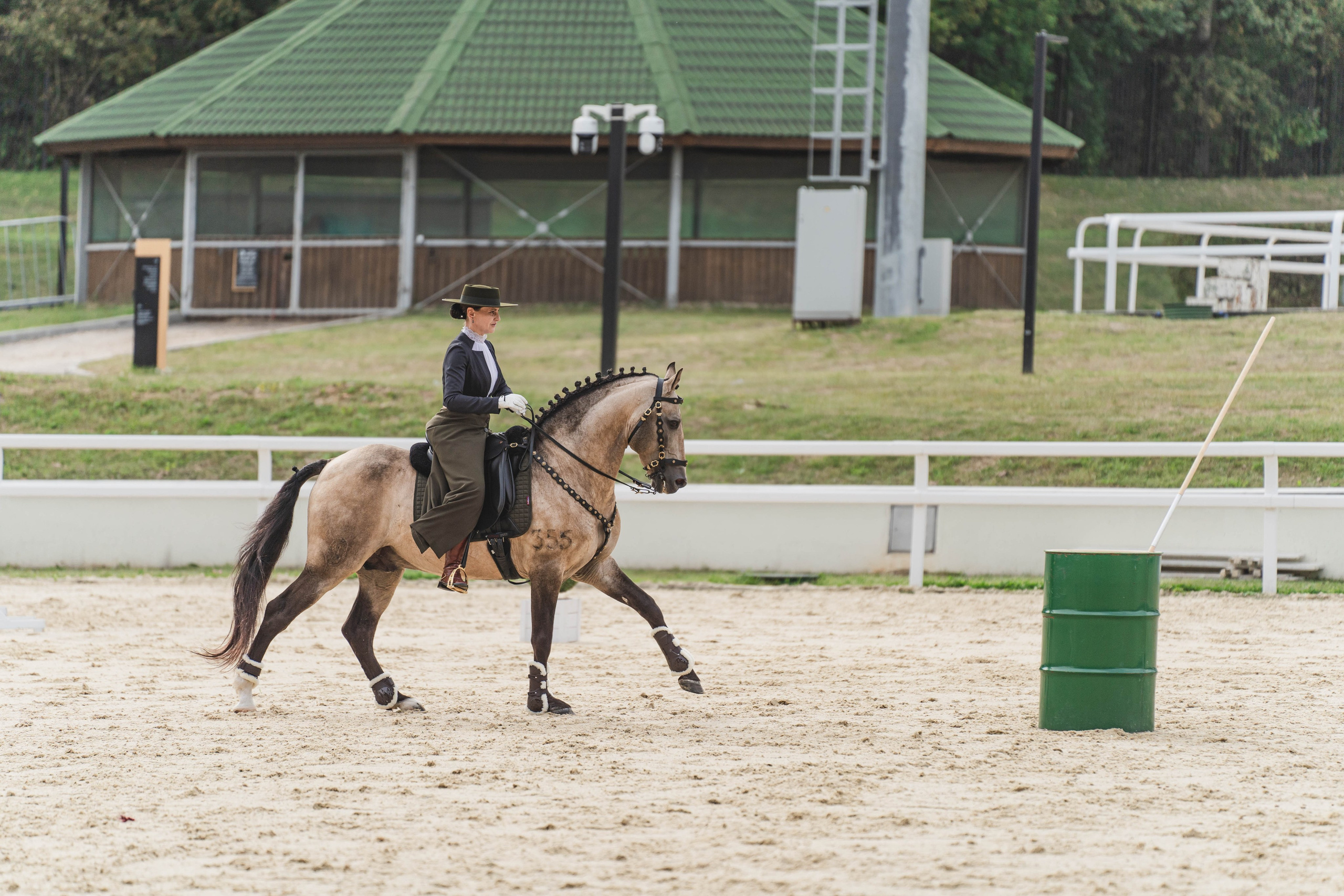 Мастер-класс по рабочей выездке. Фотограф в Москве Ленарская Дарья