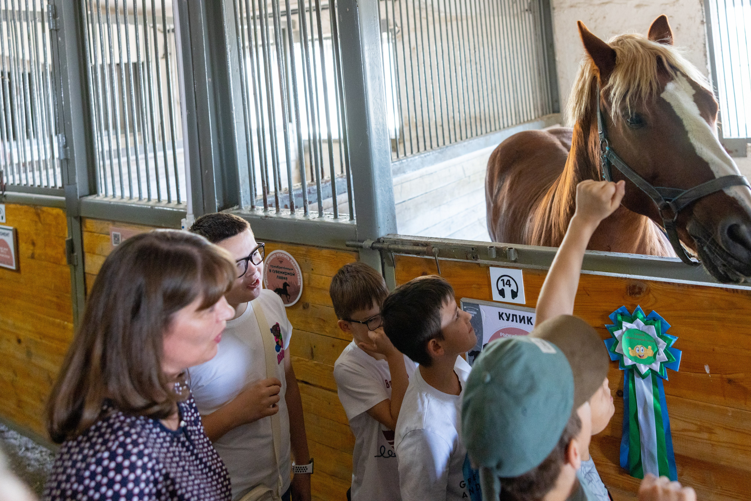Поездка на поле Кулеково. Фотограф в Туле Крупский АнДРей. Фотостудия «КАДР71» в Туле