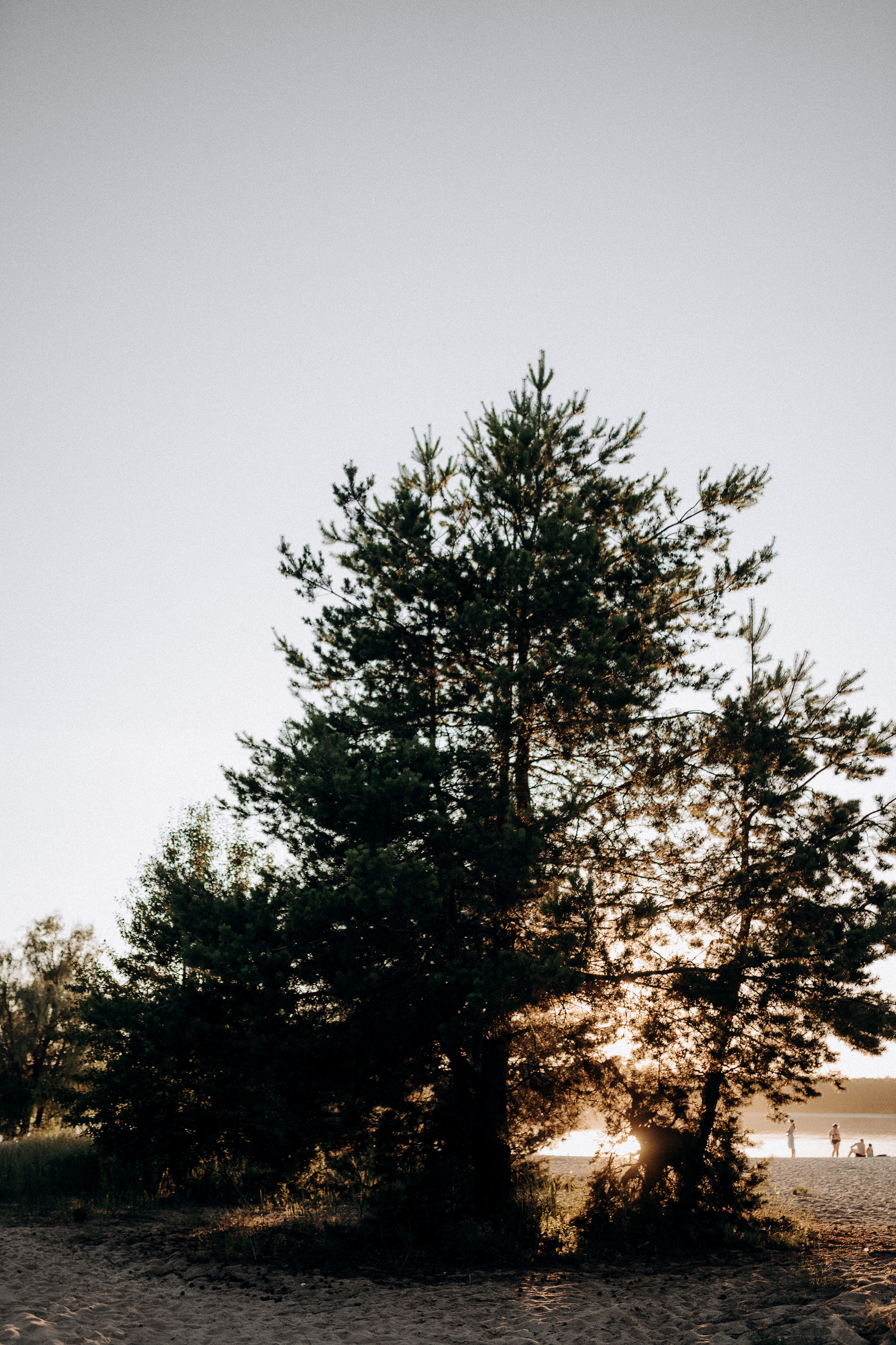 4. Свадебный фотограф Марина Бобкова в Липецке, Воронеже, Москва