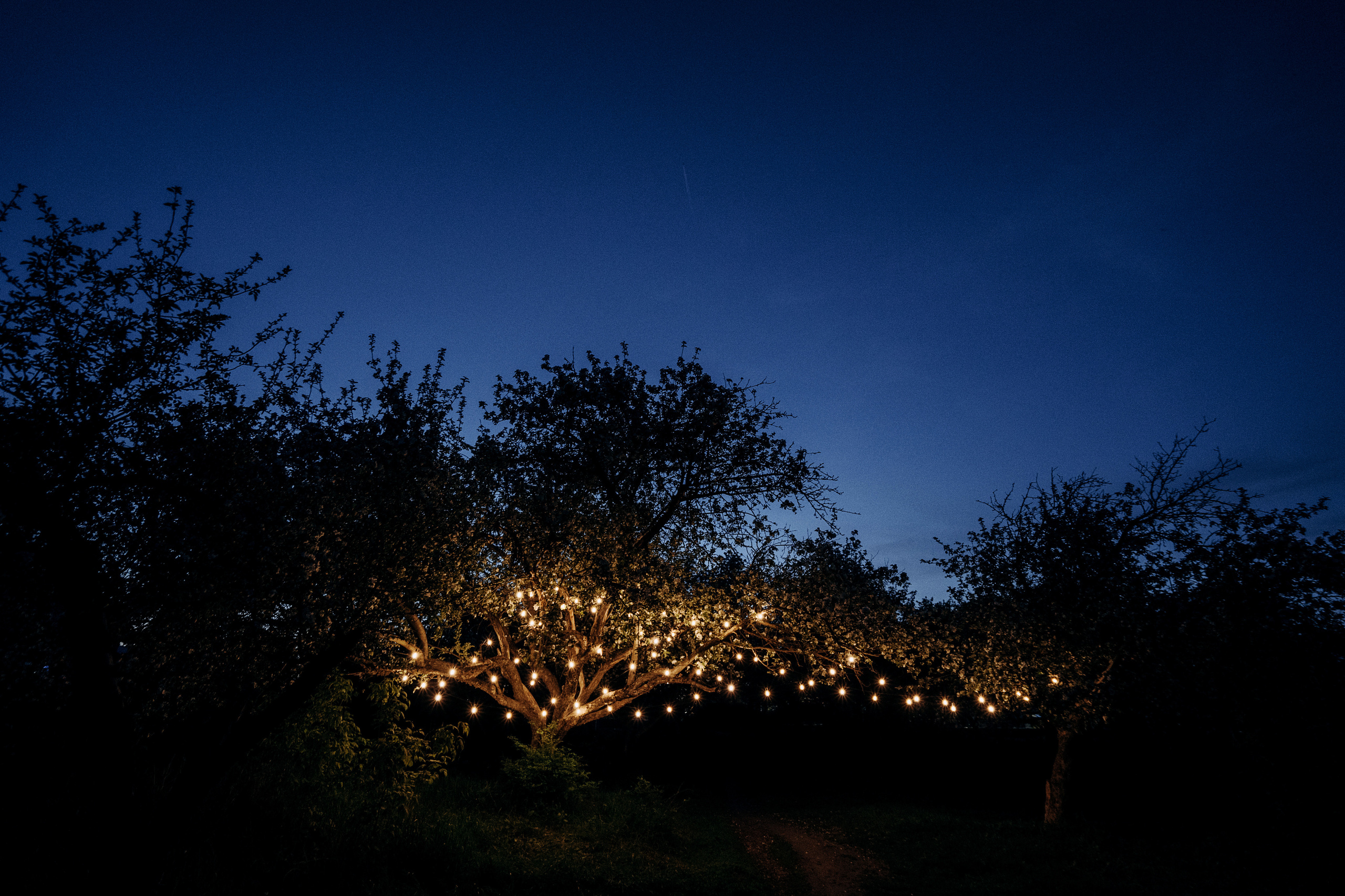 1. Свадебный фотограф Марина Бобкова в Липецке, Воронеже, Москва
