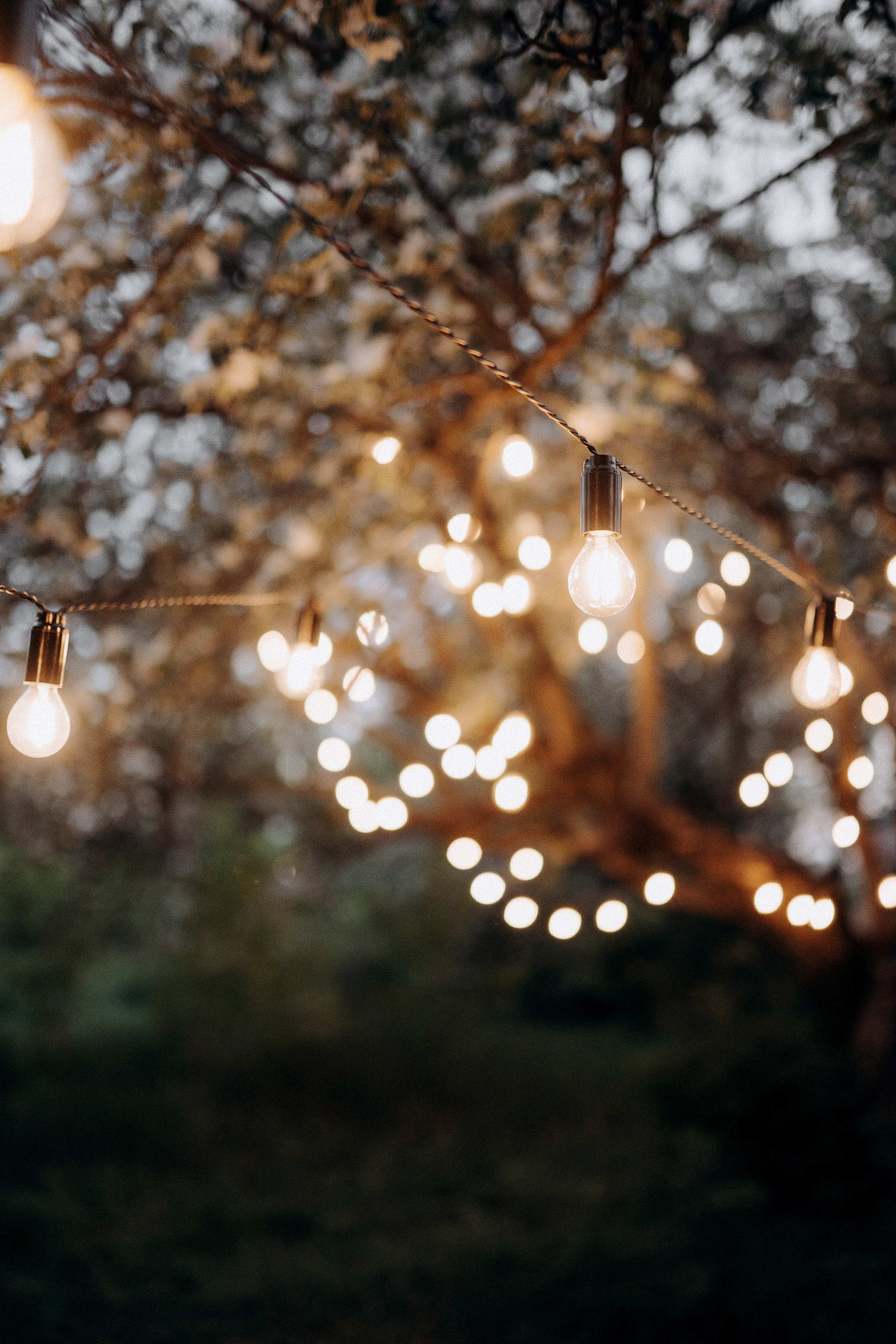 1. Свадебный фотограф Марина Бобкова в Липецке, Воронеже, Москва