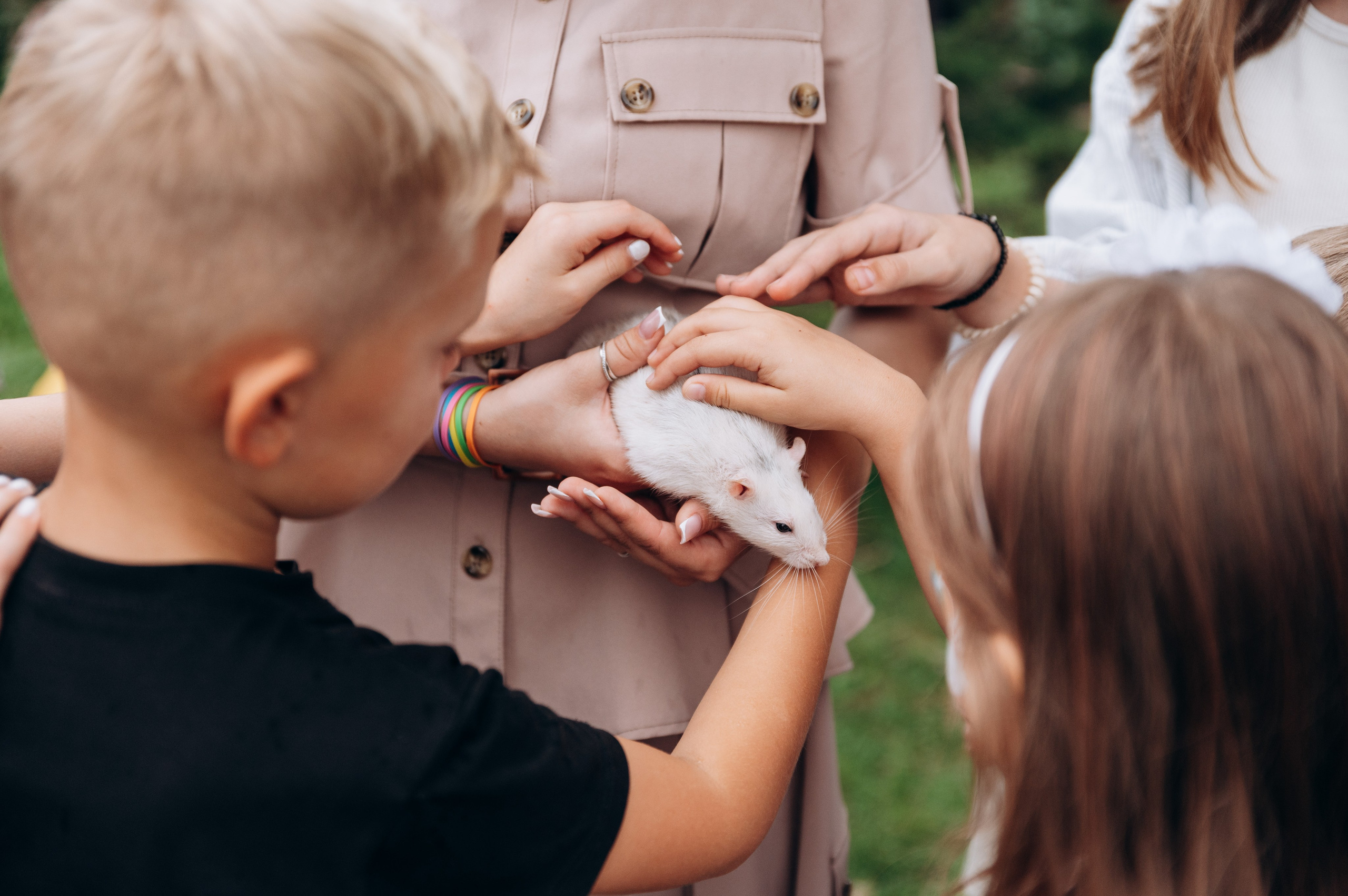 Квест «Джуманджи». Фотограф в Новосибирске